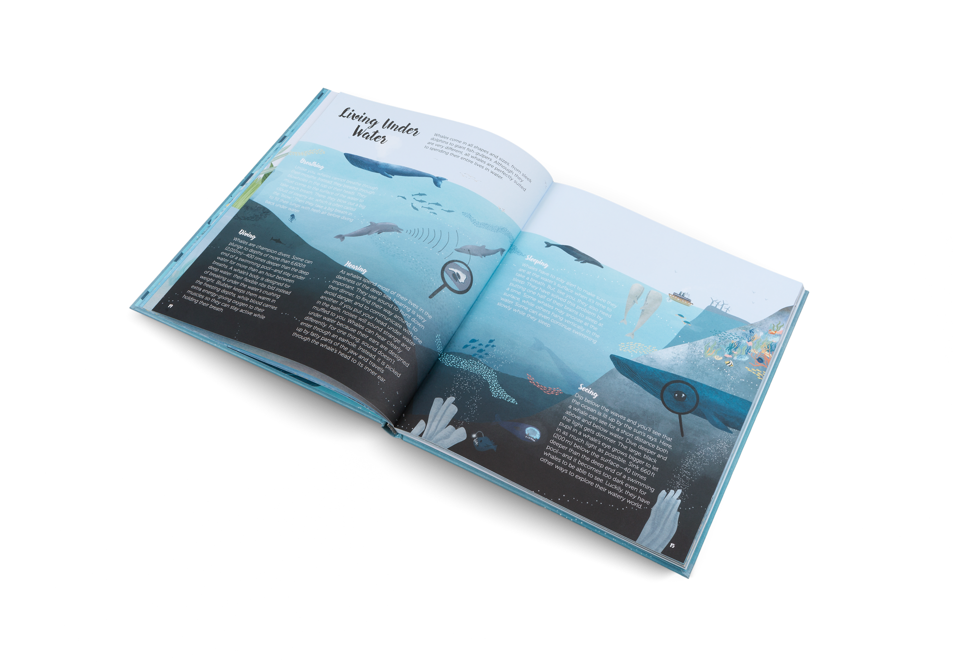 Gestalten Eu Shop-The World of Whales-Book-Black-Deal-Outlet-by-ARCHIVIST