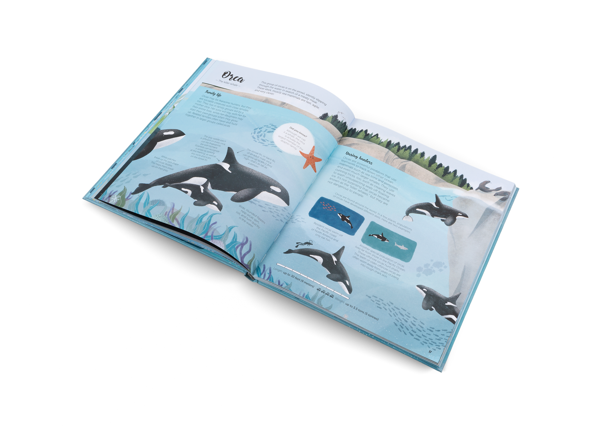 Gestalten Eu Shop-The World of Whales-Book-Black-Deal-Outlet-by-ARCHIVIST