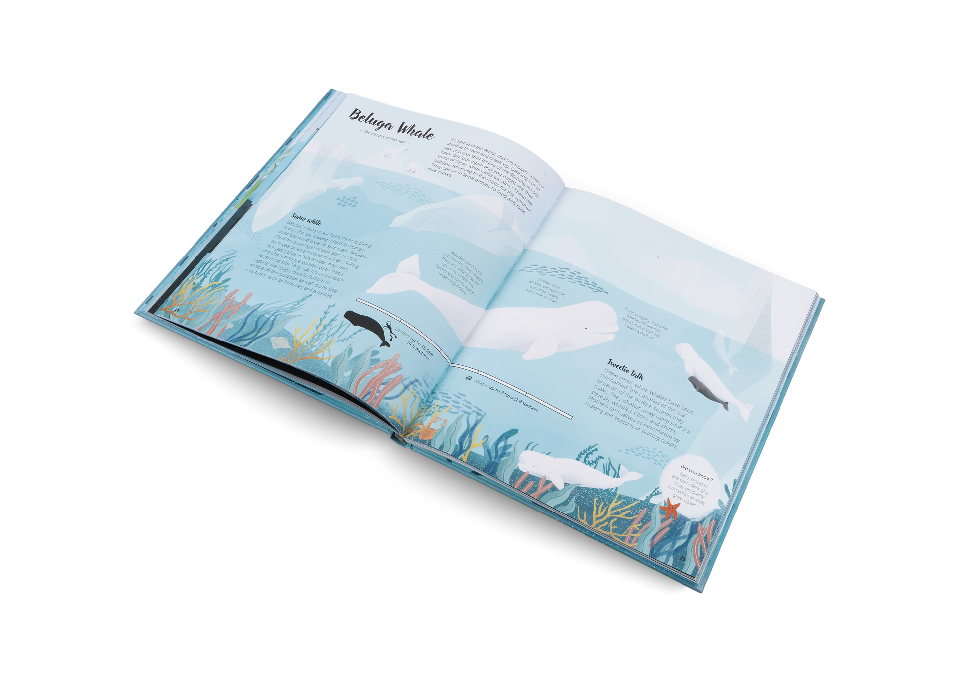 Gestalten Eu Shop-The World of Whales-Book-Black-Deal-Outlet-by-ARCHIVIST