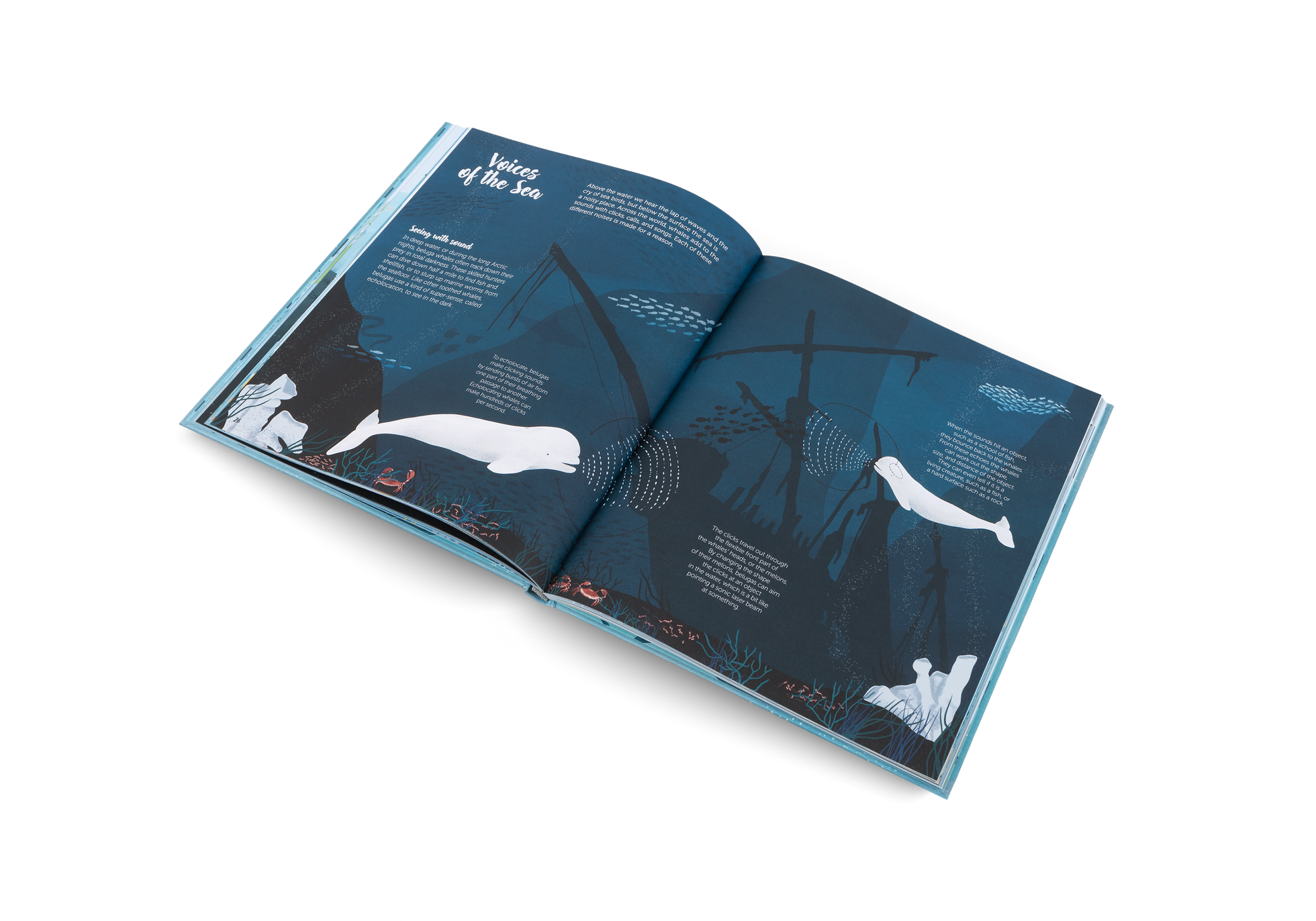 Gestalten Eu Shop-The World of Whales-Book-Black-Deal-Outlet-by-ARCHIVIST
