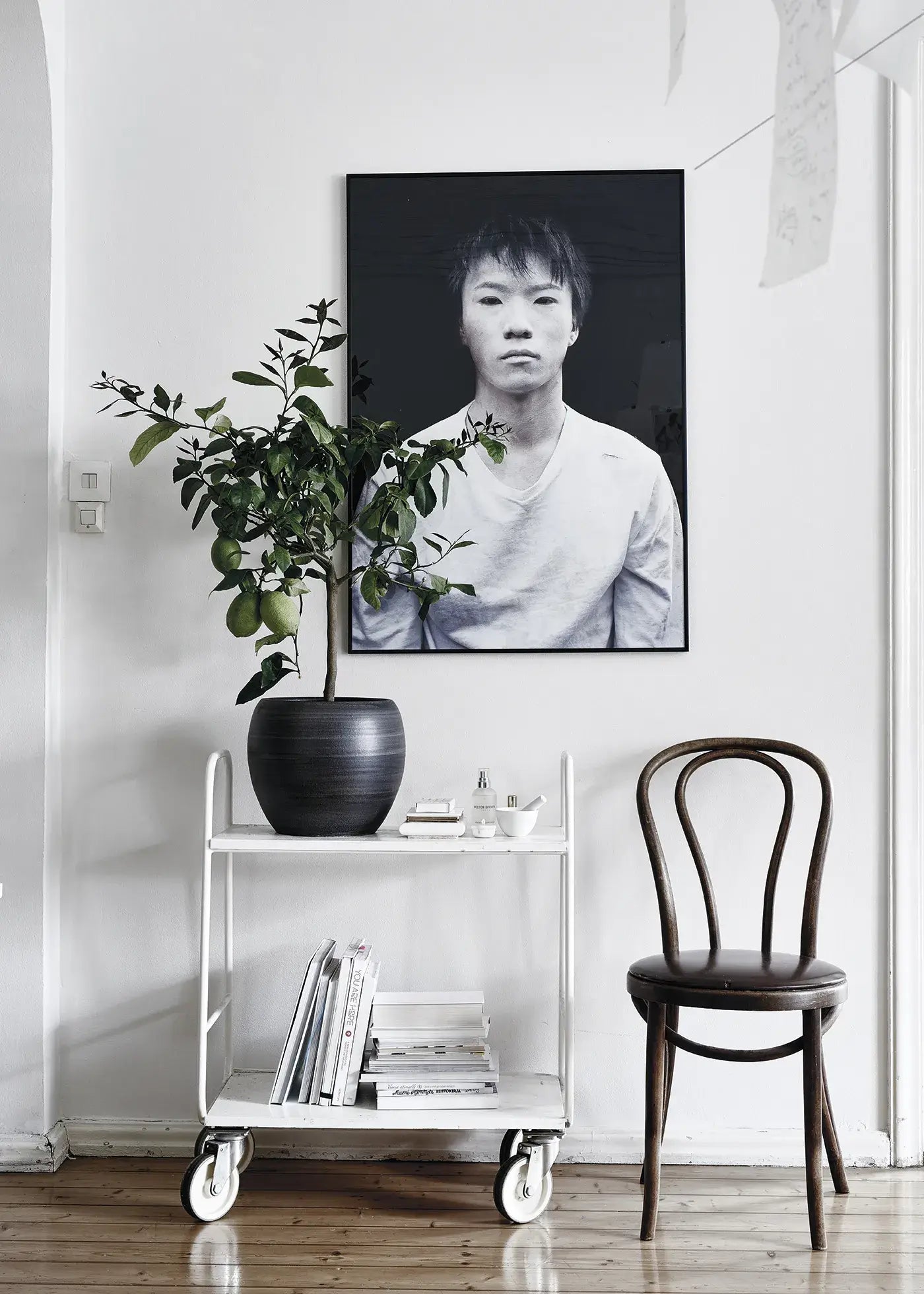 Verdancia-Green Home Book - Coffee Table Book - Grün Wohnen-Buch-Black-Deal-Outlet-by-ARCHIVIST