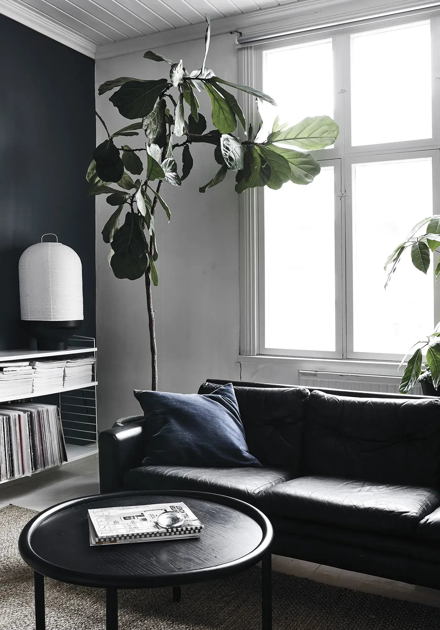 Verdancia-Green Home Book - Coffee Table Book - Grün Wohnen-Buch-Black-Deal-Outlet-by-ARCHIVIST