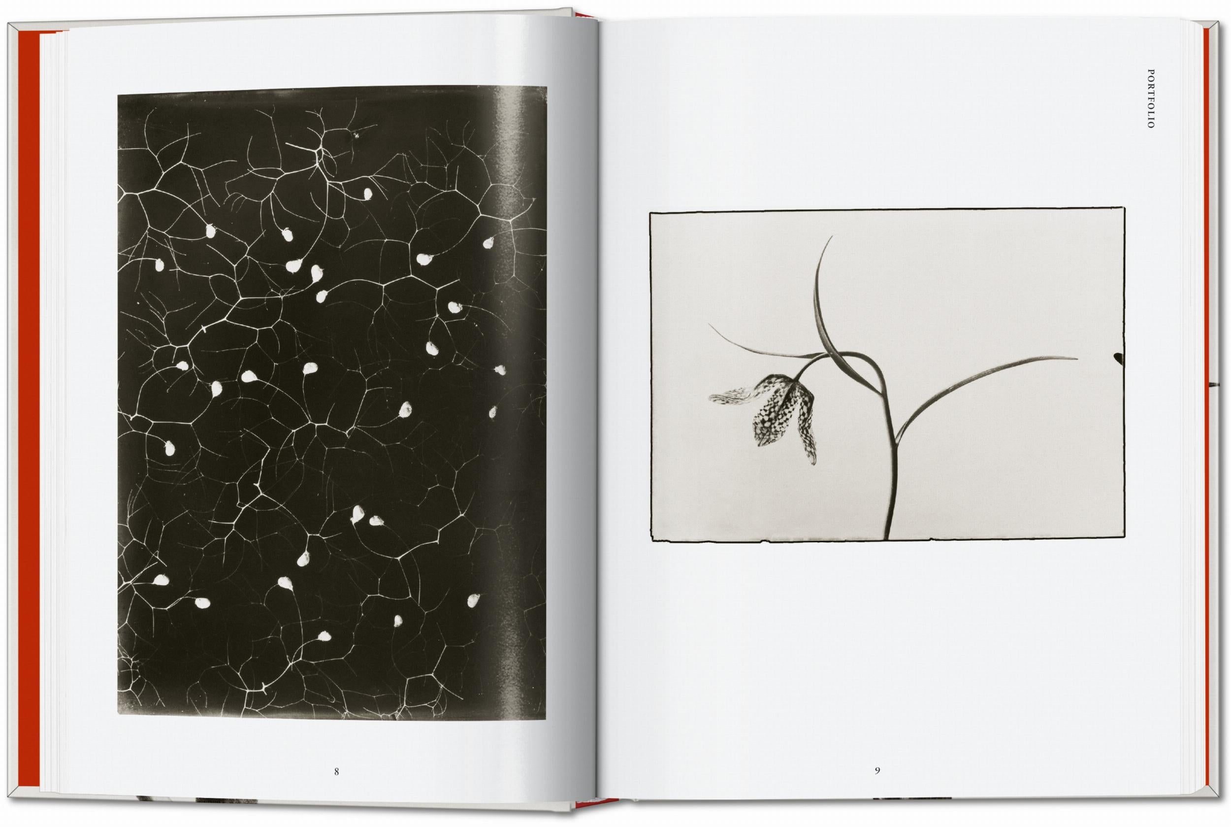 Taschen-Karl Blossfeldt. The Complete Published Work. 45th Ed. (German, French, English)-Photography-Black-Deal-Outlet-by-ARCHIVIST