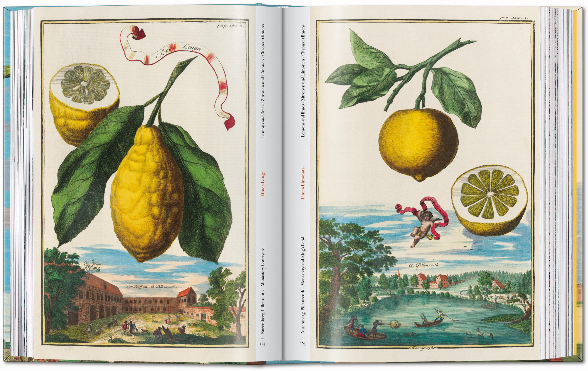 Taschen-J. C. Volkamer. The Book of Citrus Fruits. 45th Ed. (German, French, English)-Classics-Black-Deal-Outlet-by-ARCHIVIST