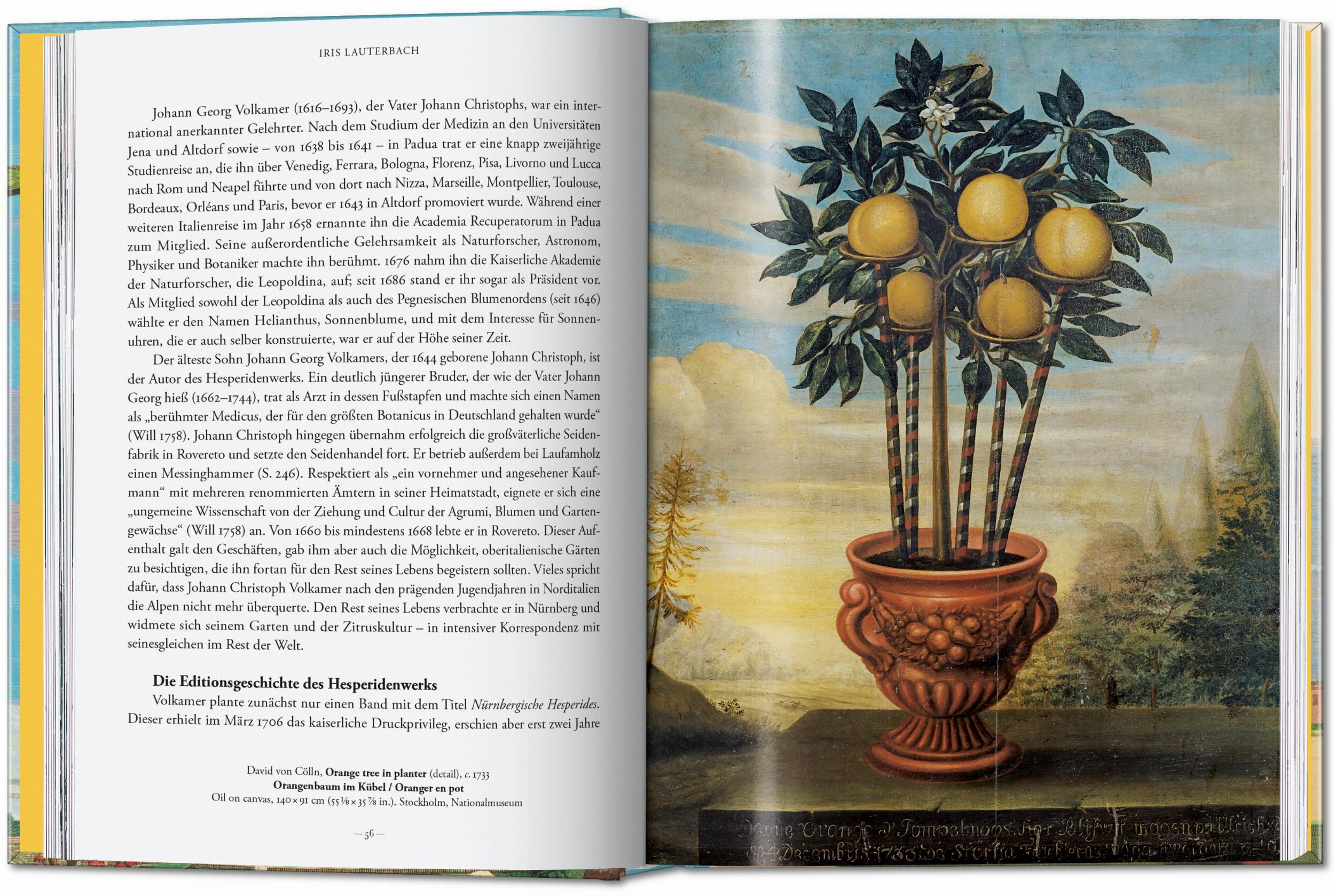 Taschen-J. C. Volkamer. The Book of Citrus Fruits. 45th Ed. (German, French, English)-Classics-Black-Deal-Outlet-by-ARCHIVIST