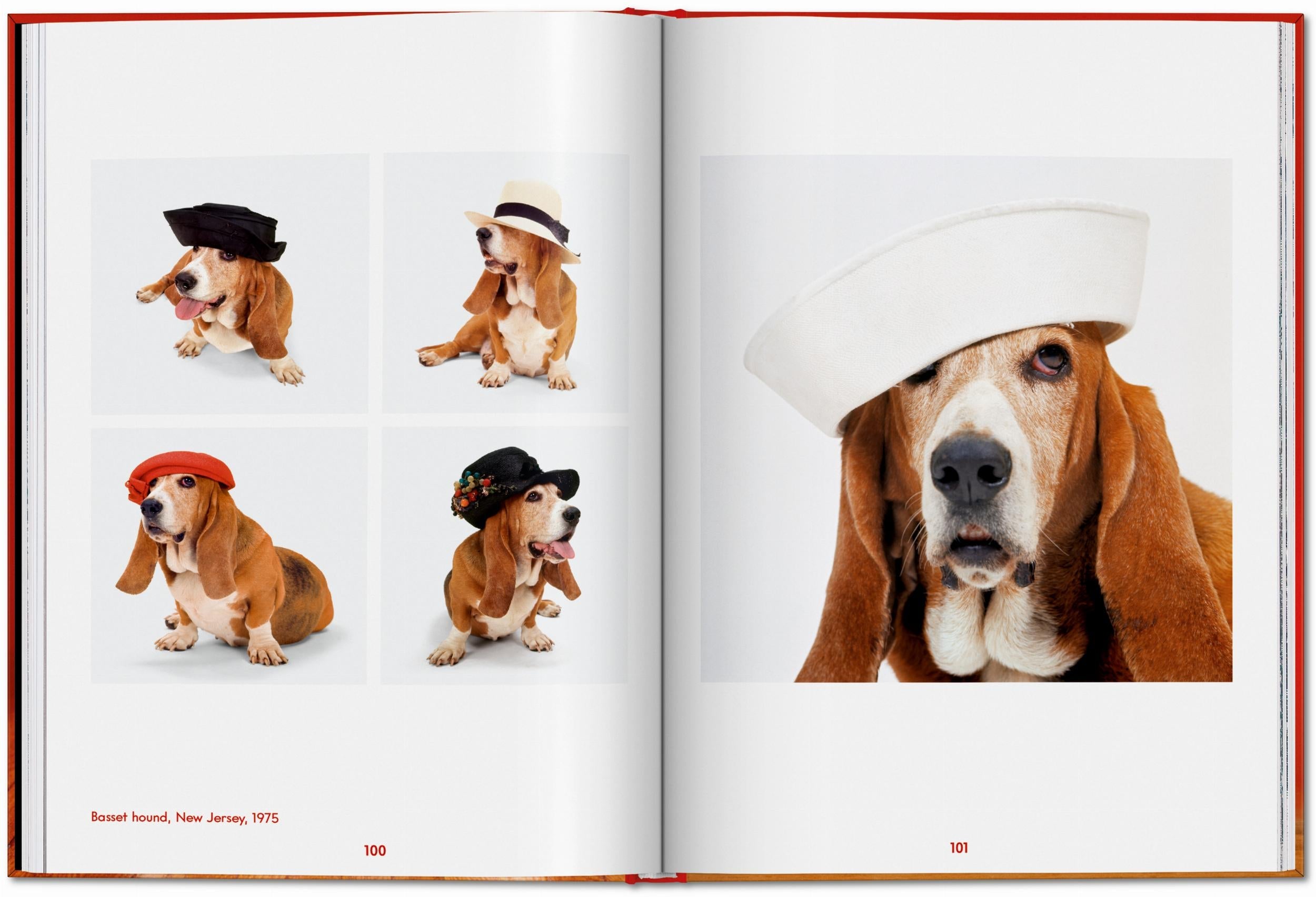 Taschen-Walter Chandoha. Dogs. Photographs 1941–1991 (English)-Photography-Black-Deal-Outlet-by-ARCHIVIST