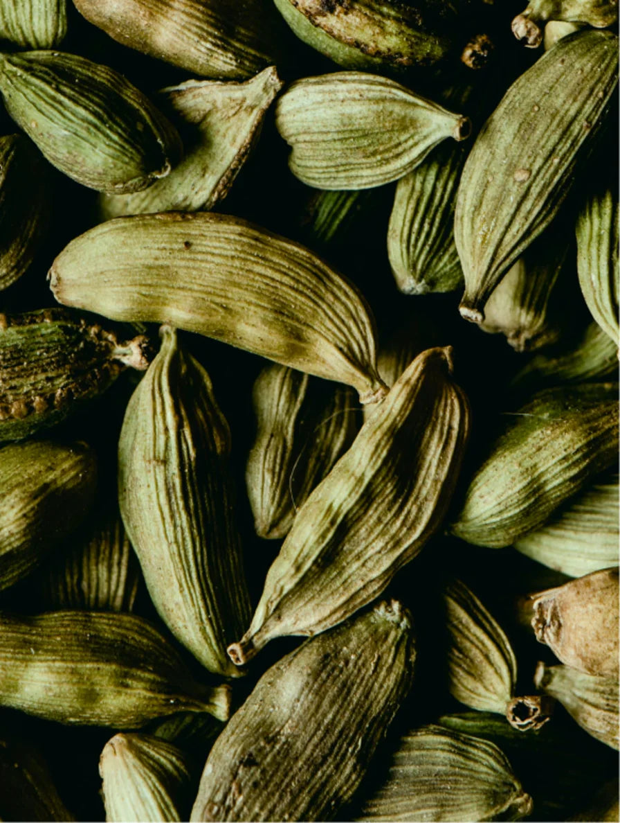 Verdancia-Hand & Body Wash – Ingwer & Rauchiger Kardamom-Seife-Black-Deal-Outlet-by-ARCHIVIST