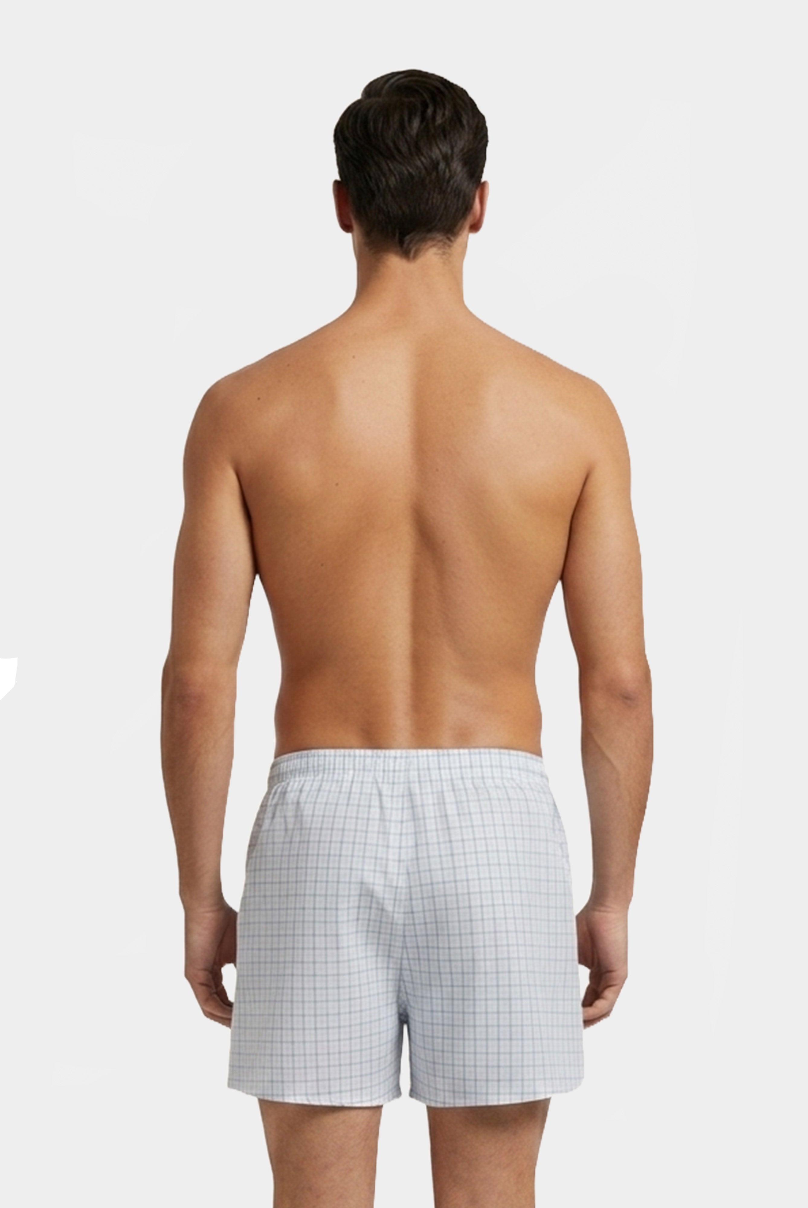 Oxford Boxershorts | fein kariert