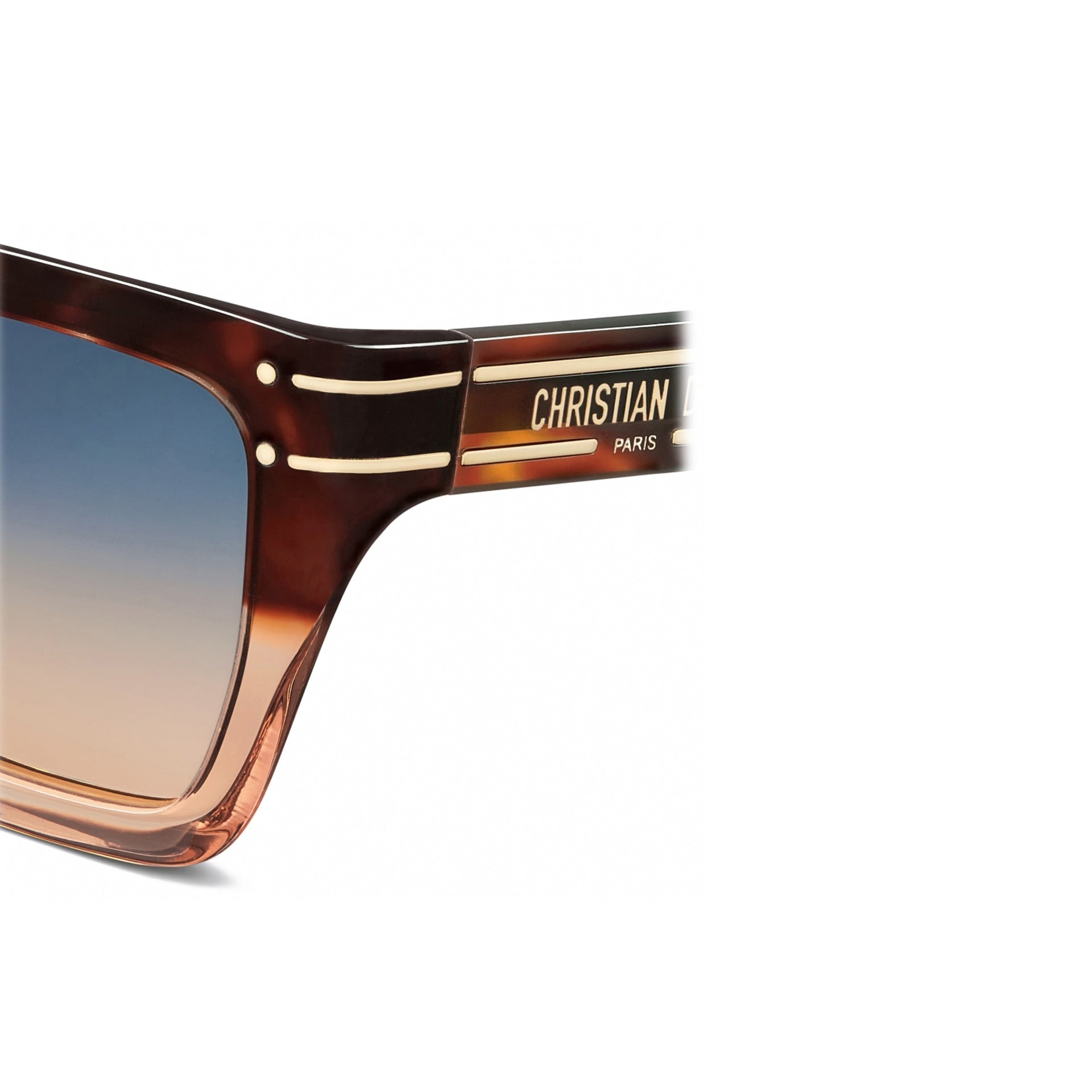 Dior DiorSignature S10F Sunglasses