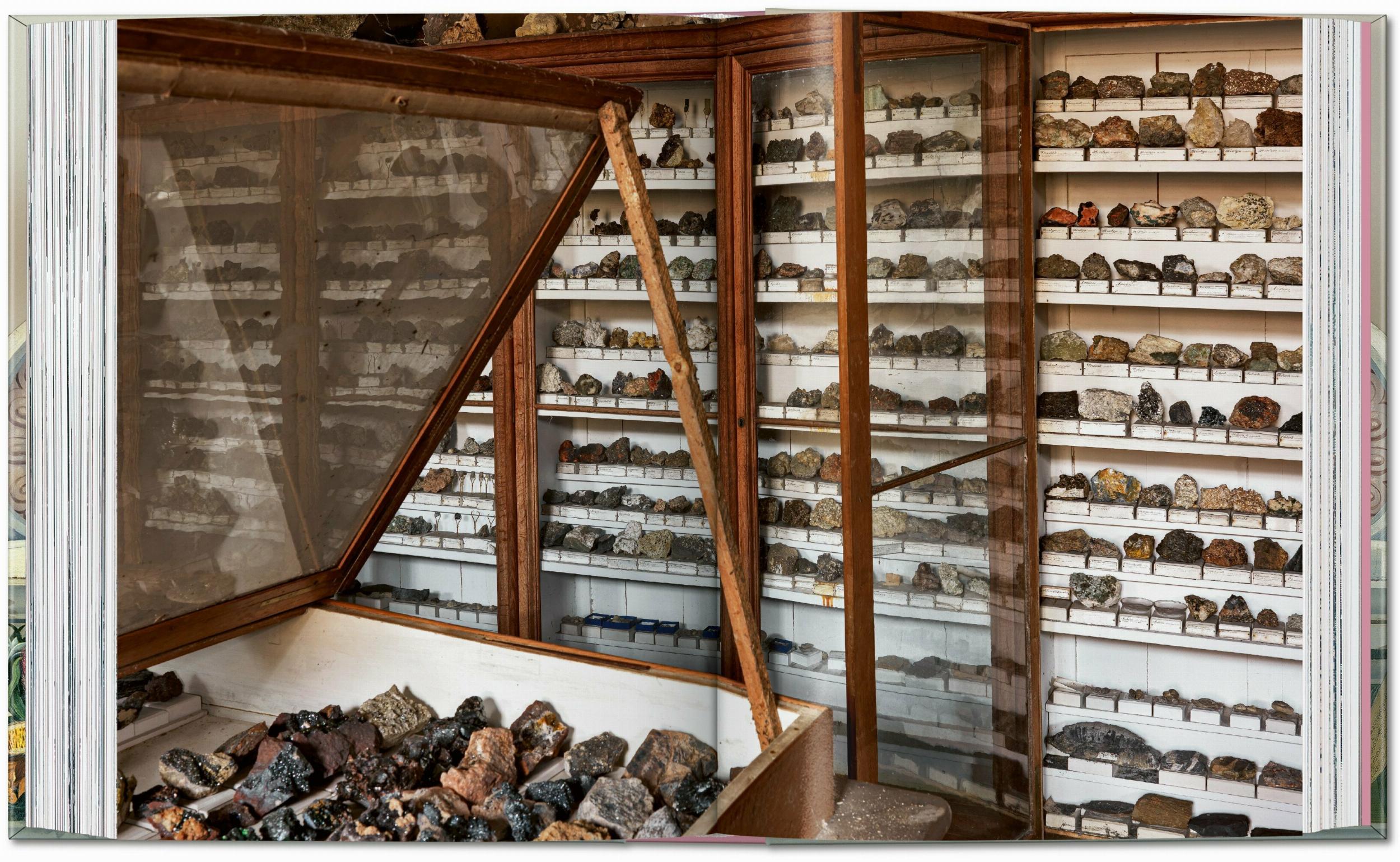 Taschen-Massimo Listri. Cabinet of Curiosities. 40th Ed. (German, French, English)-Photography-Black-Deal-Outlet-by-ARCHIVIST