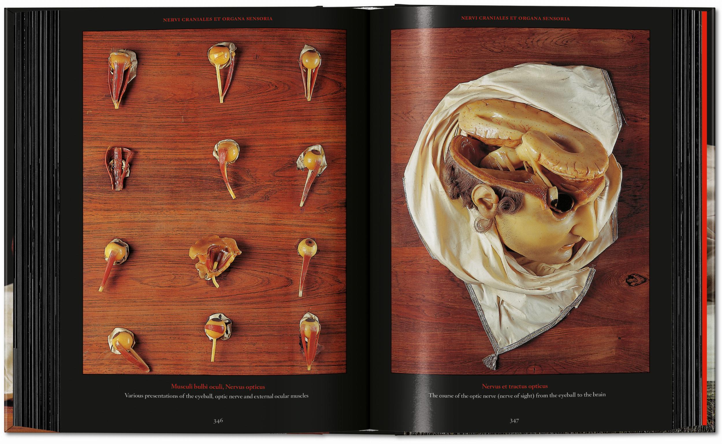 Taschen-Anatomical Waxes. 45th Ed. (German, French, English)-Classics-Black-Deal-Outlet-by-ARCHIVIST