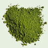 Verdancia-Bio Matcha Ceremonial 30g Dose-Matcha-Black-Deal-Outlet-by-ARCHIVIST