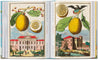 Taschen-J. C. Volkamer. The Book of Citrus Fruits. 45th Ed. (German, French, English)-Classics-Black-Deal-Outlet-by-ARCHIVIST