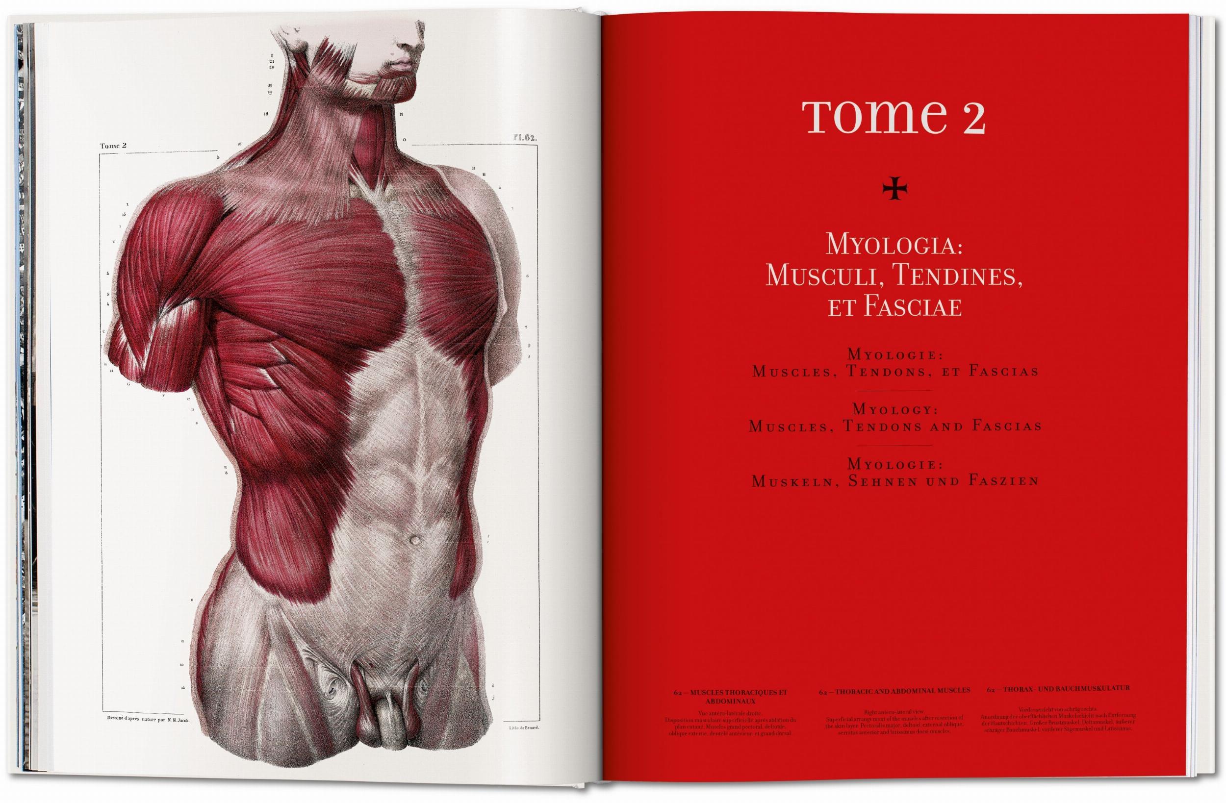 Taschen-Bourgery. Atlas of Human Anatomy and Surgery (German, French, English)-Classics-Black-Deal-Outlet-by-ARCHIVIST