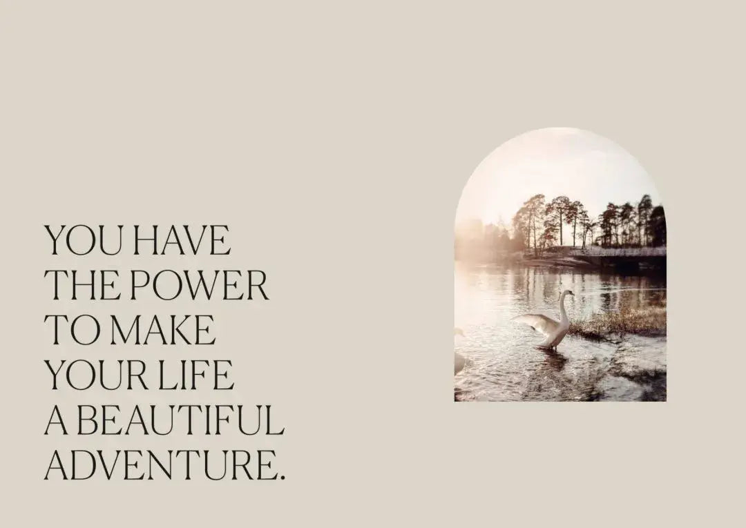 Verdancia-Book of Friends - Freundebuch für Erwachsene-Buch-Black-Deal-Outlet-by-ARCHIVIST