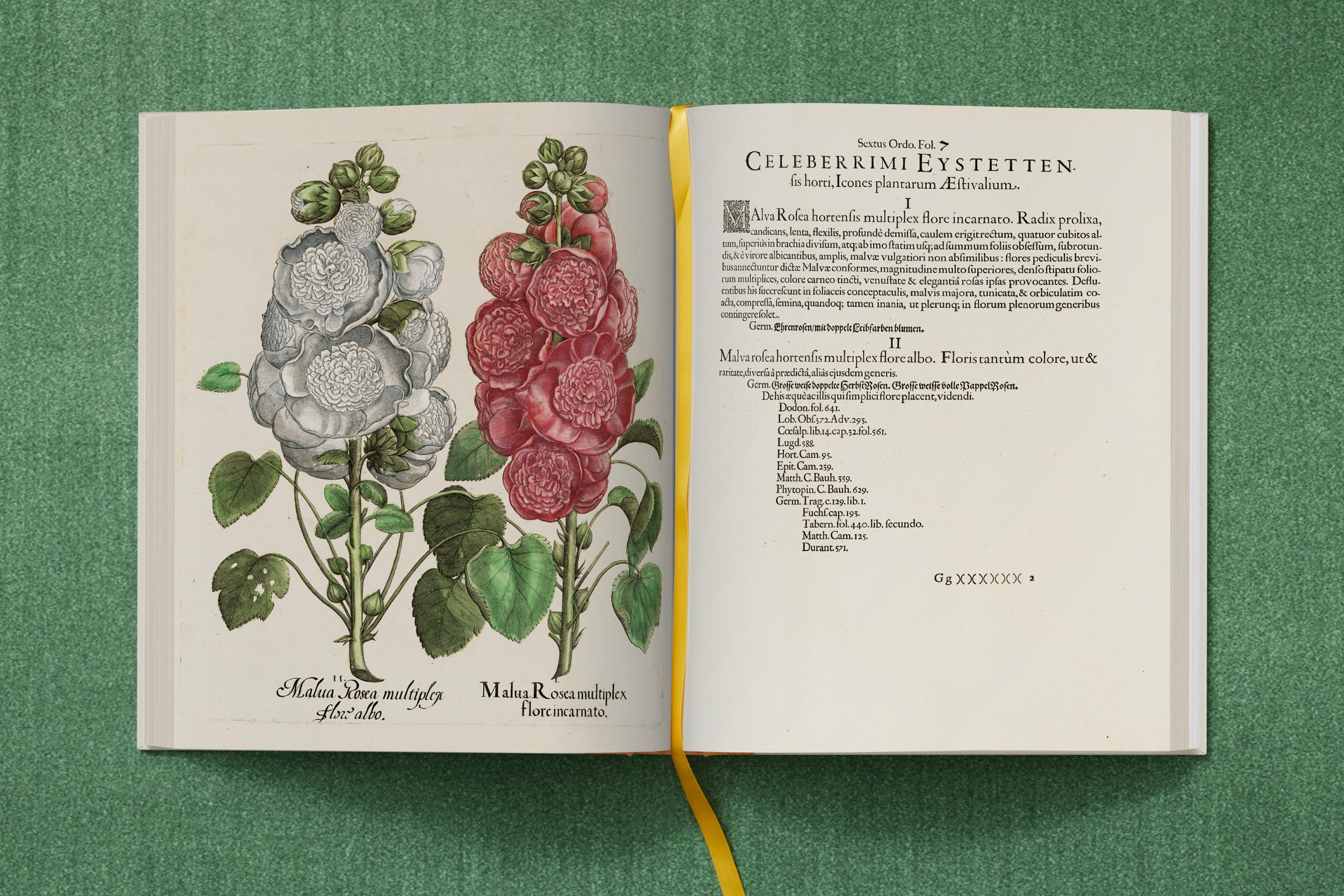 Taschen-Basilius Besler. The Garden at Eichstätt (German, French, English) (FFE)-Classics-Black-Deal-Outlet-by-ARCHIVIST