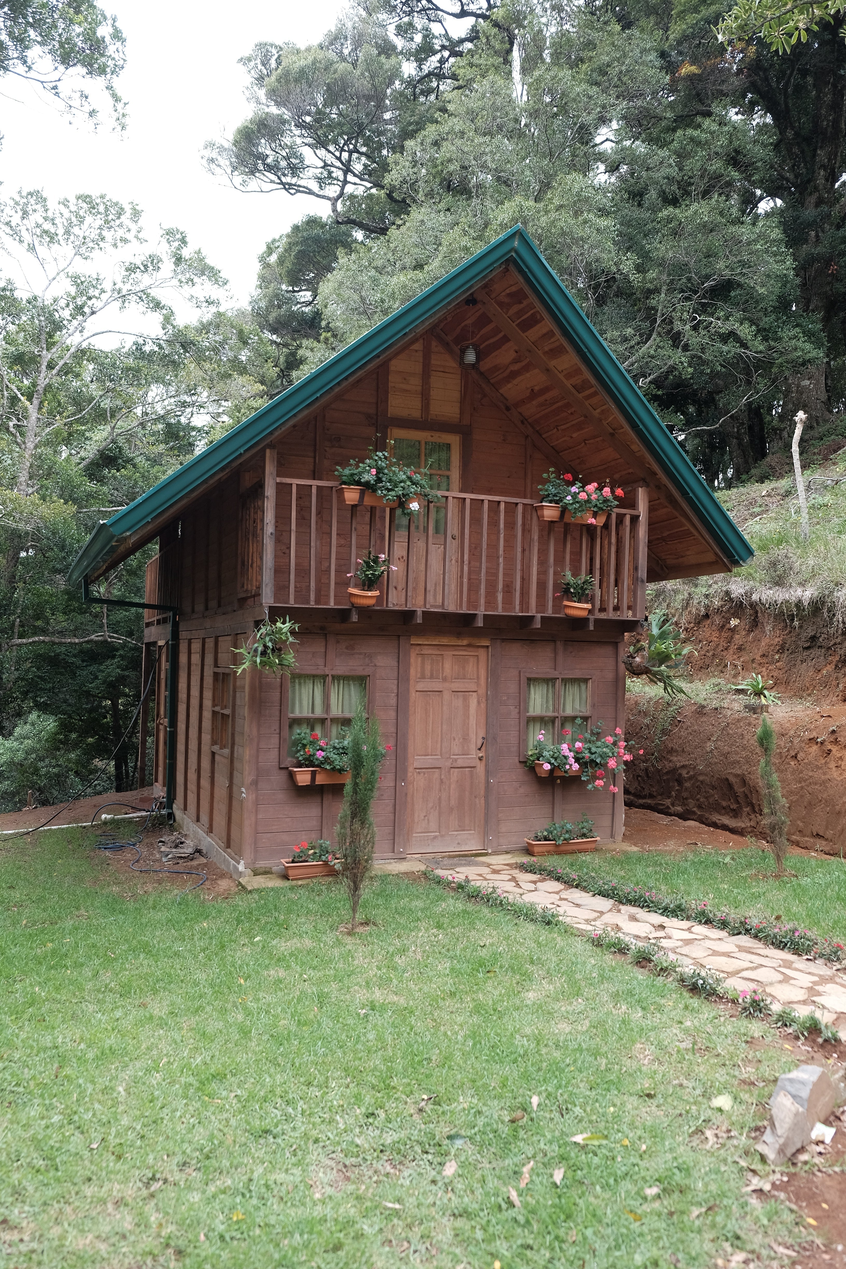 Paso Paso - Farmer Owned Coffee-Filter Coffee - Jorge Vásquez - Catuai Natural-Black-Deal-Outlet-by-ARCHIVIST