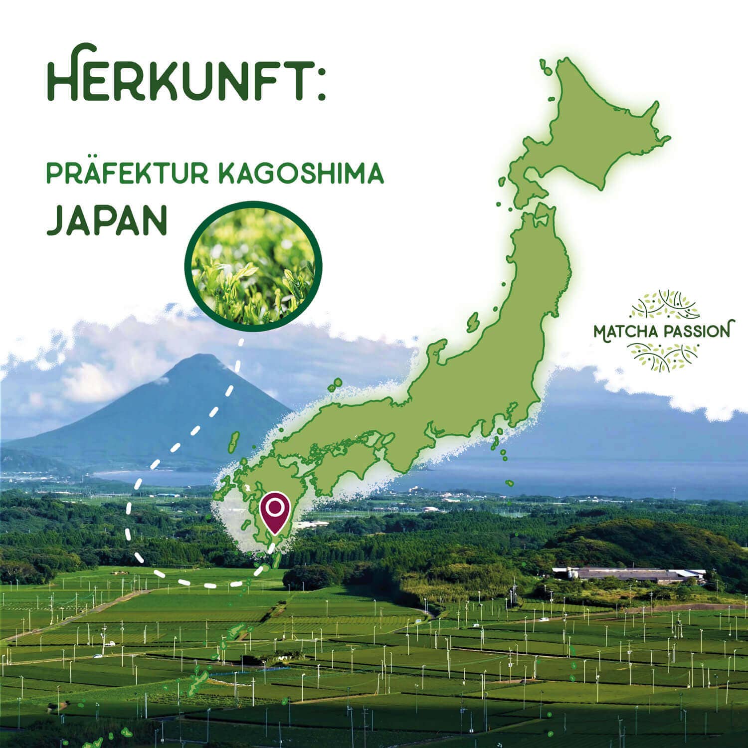 Verdancia-Bio Matcha Premium 30g Dose-Matcha-Black-Deal-Outlet-by-ARCHIVIST