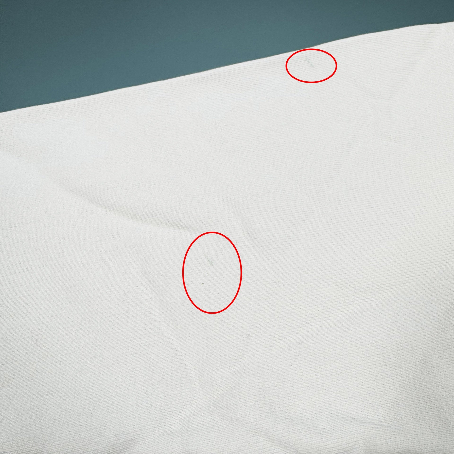 Heron Preston-Heron Preston Beware Of Dog Cotton Sweatshirt-MEN CLOTHING-Black-Deal-Outlet-by-ARCHIVIST