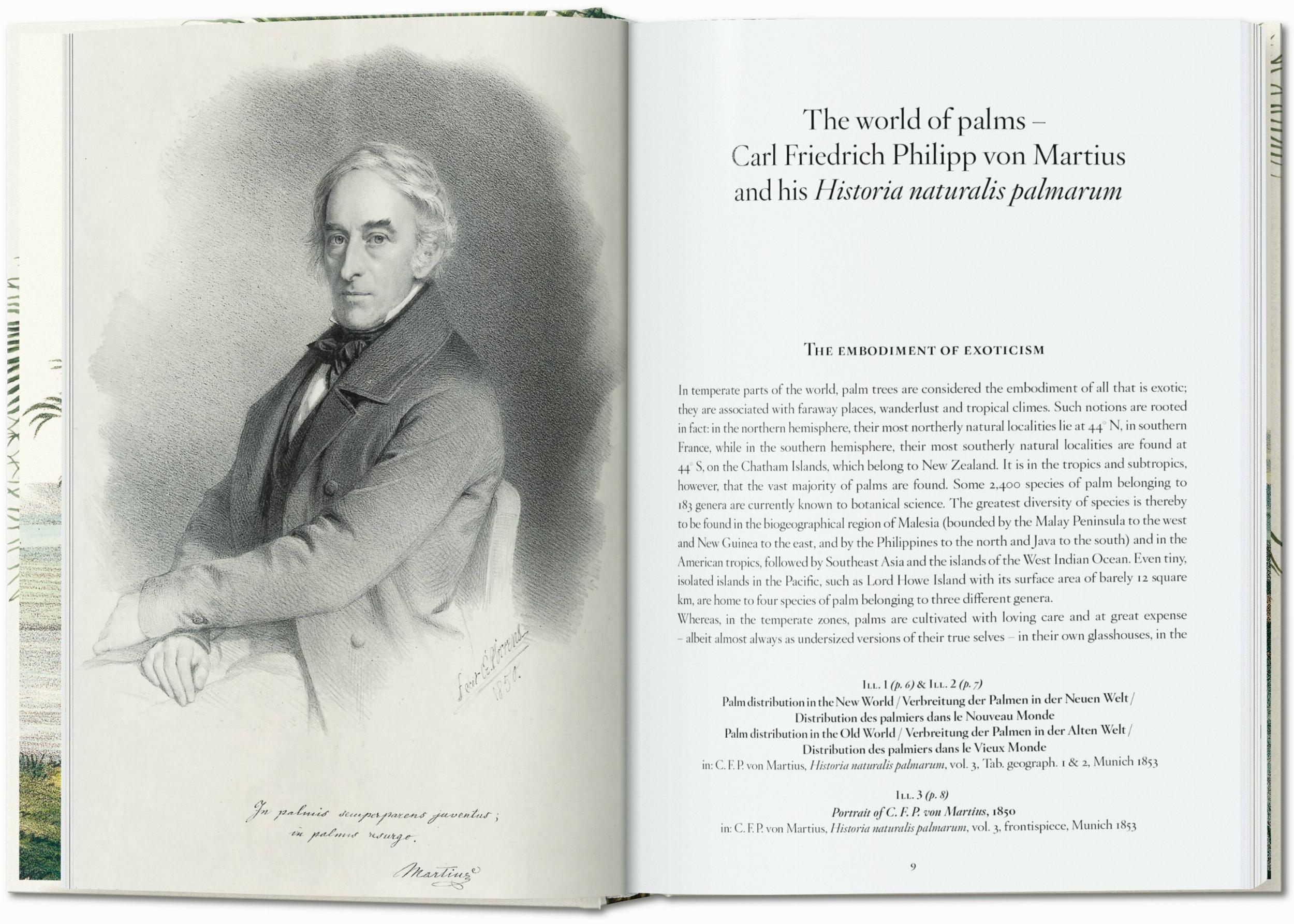 Taschen-Martius. El libro de las palmeras. 45th Ed. (Spanish, Italian, Portuguese)-Classics-Black-Deal-Outlet-by-ARCHIVIST