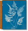 Taschen-Anna Atkins. Cyanotypes (German, French, English) (FFE)-Photography-Black-Deal-Outlet-by-ARCHIVIST