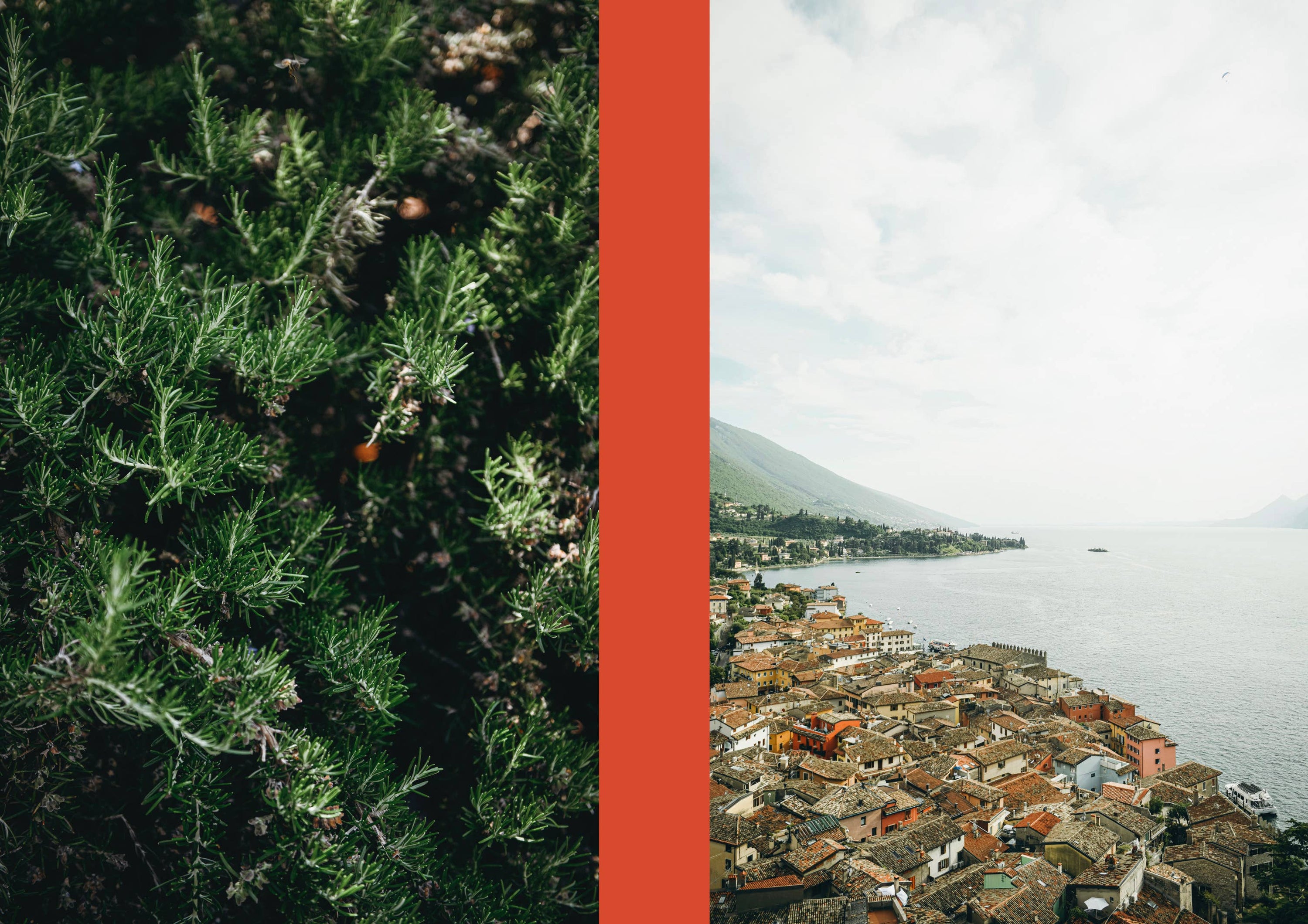 Verdancia-La Nostra Cucina Povera — Alltägliches italienisches Essen - Coffee Table Book-Buch-Black-Deal-Outlet-by-ARCHIVIST