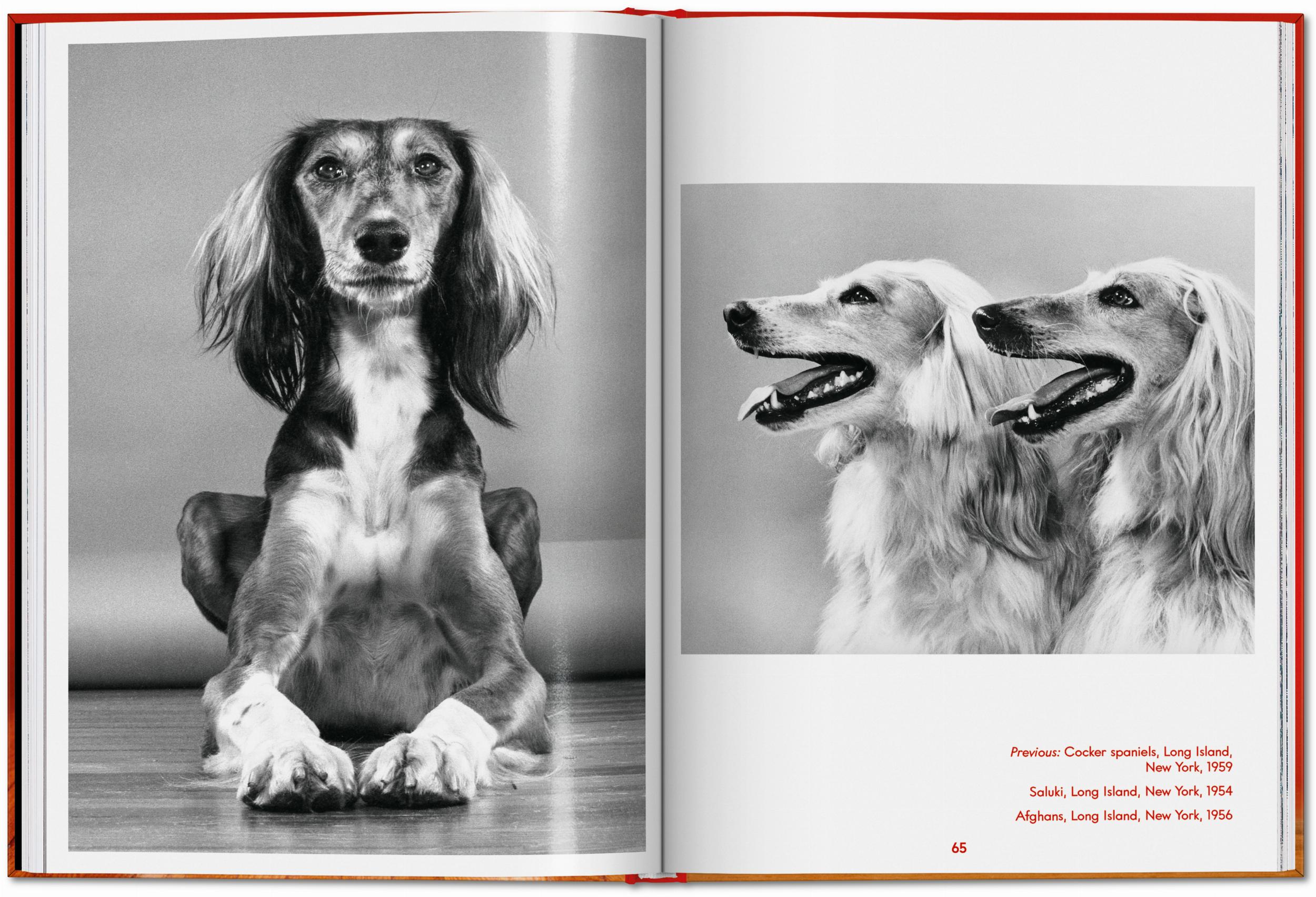 Taschen-Walter Chandoha. Dogs. Photographs 1941–1991 (English)-Photography-Black-Deal-Outlet-by-ARCHIVIST