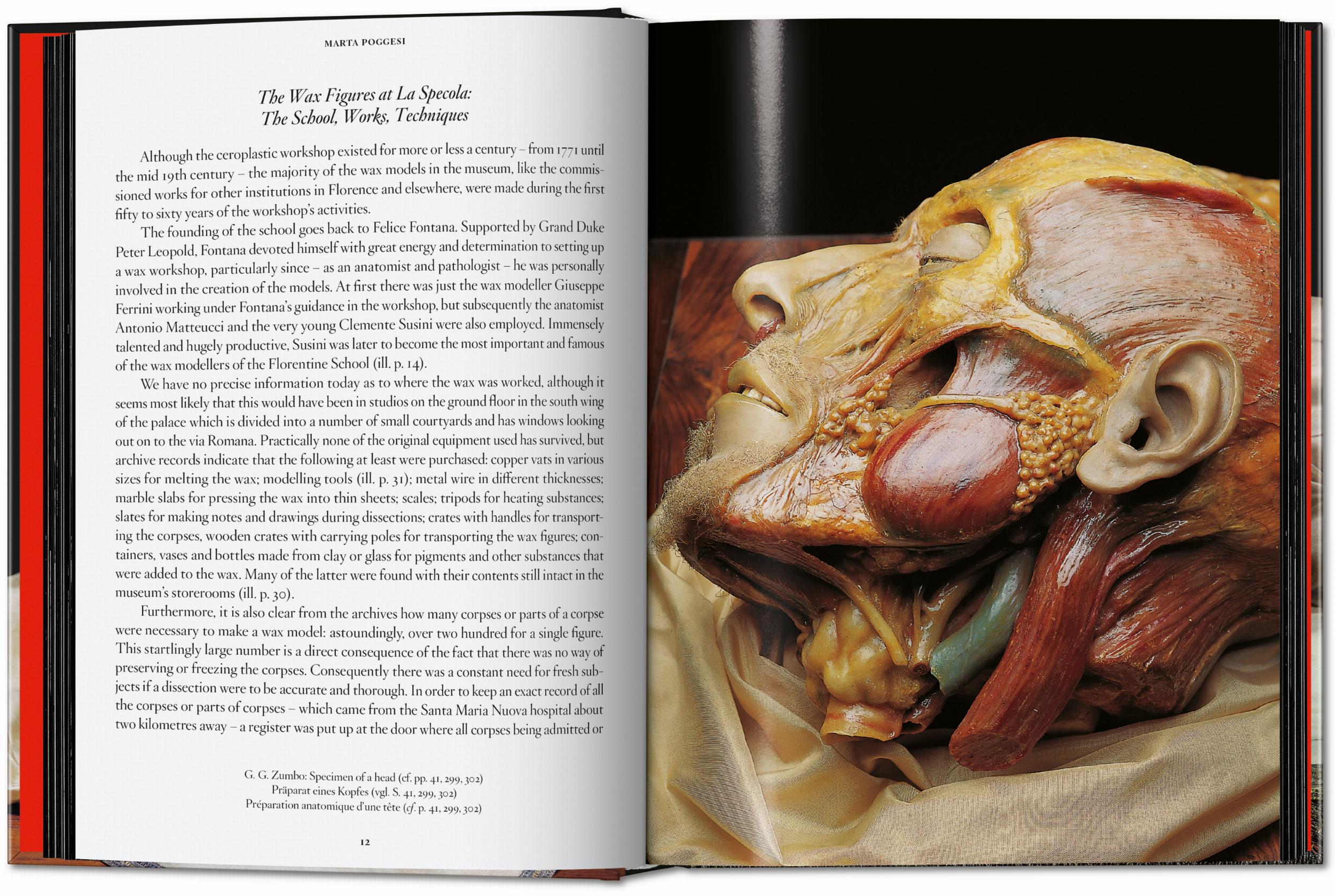 Taschen-Anatomical Waxes. 45th Ed. (German, French, English)-Classics-Black-Deal-Outlet-by-ARCHIVIST