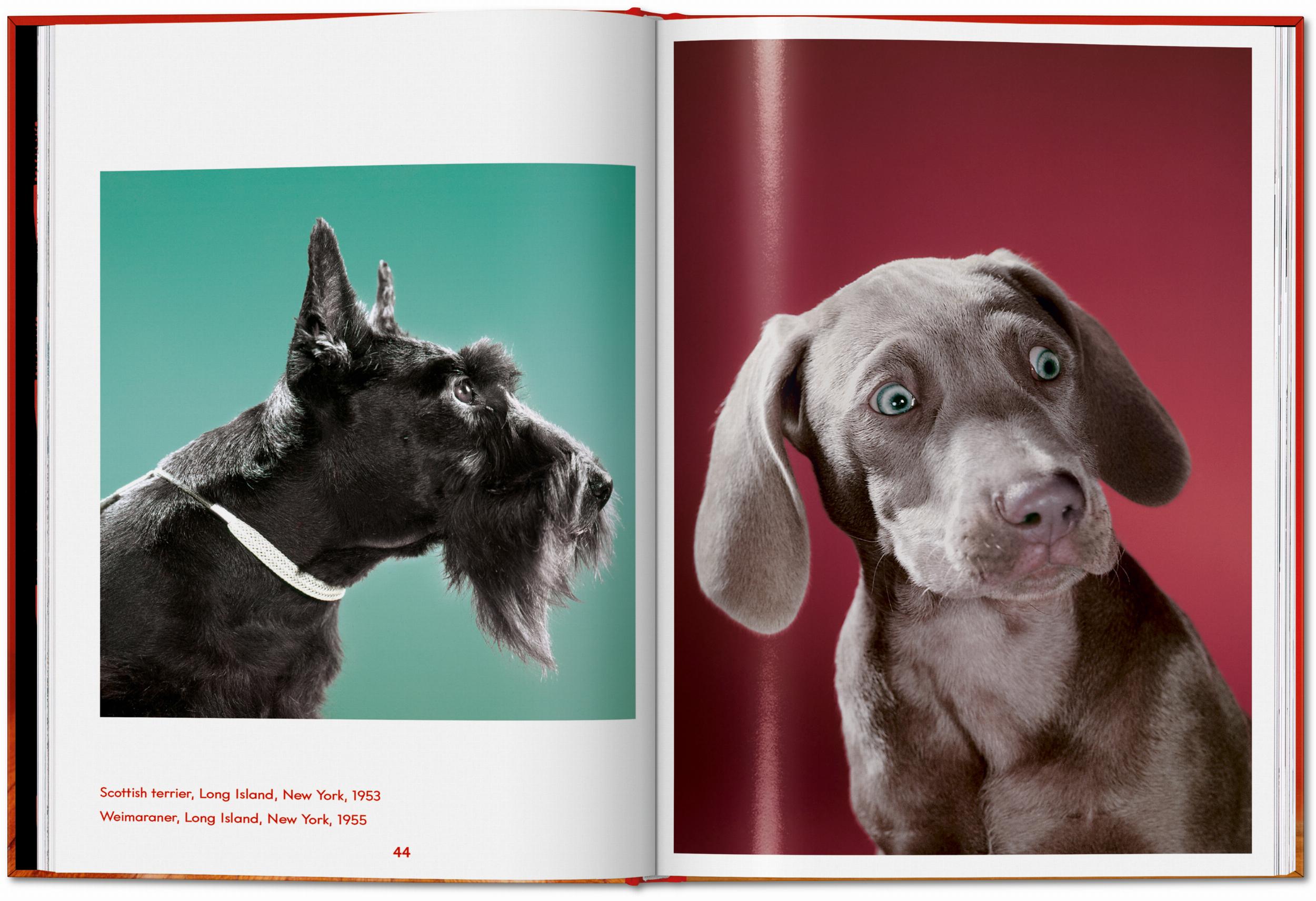 Taschen-Walter Chandoha. Dogs. Photographs 1941–1991 (English)-Photography-Black-Deal-Outlet-by-ARCHIVIST