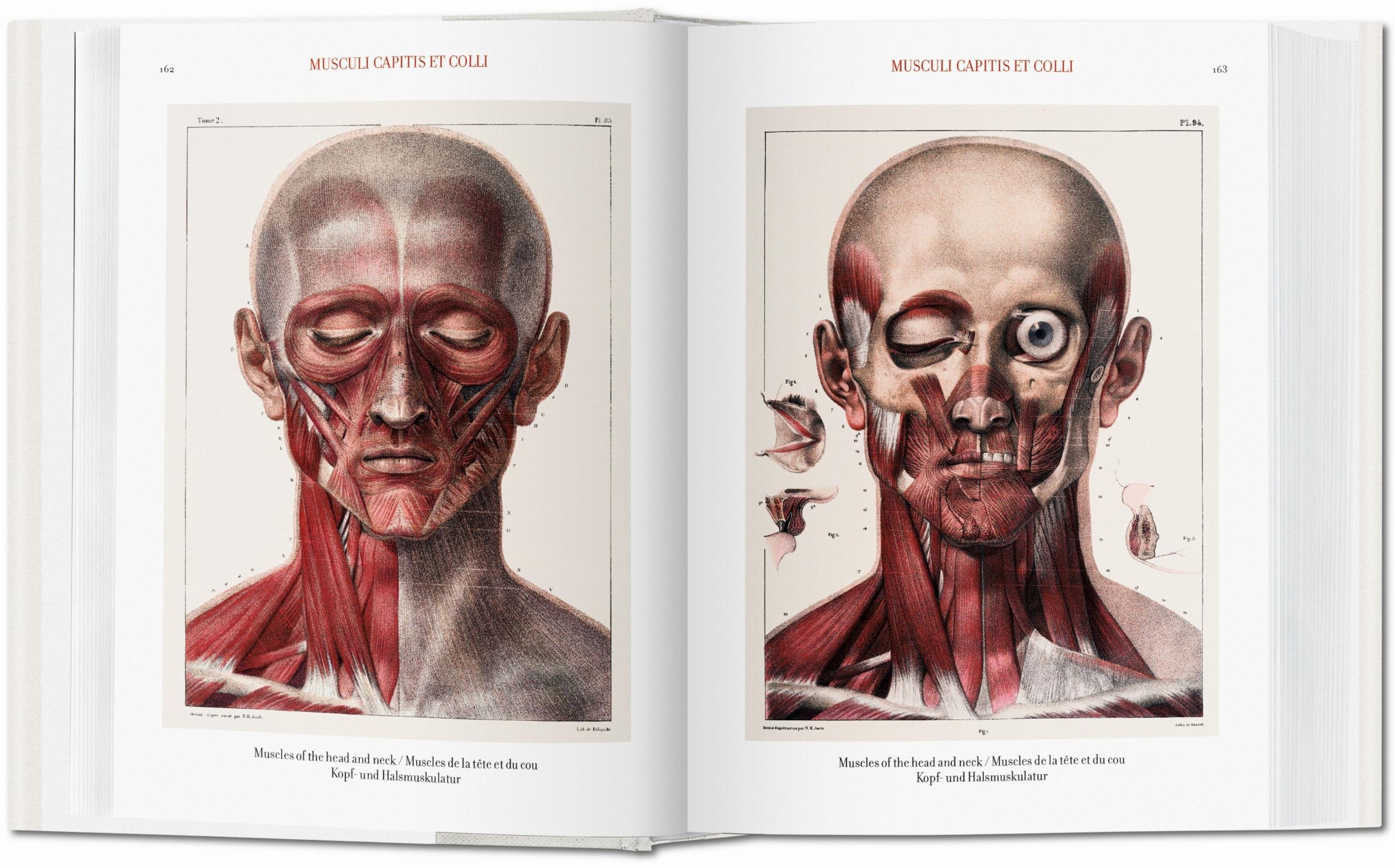 Taschen-Bourgery. Atlas of Human Anatomy and Surgery (German, French, English)-Classics-Black-Deal-Outlet-by-ARCHIVIST