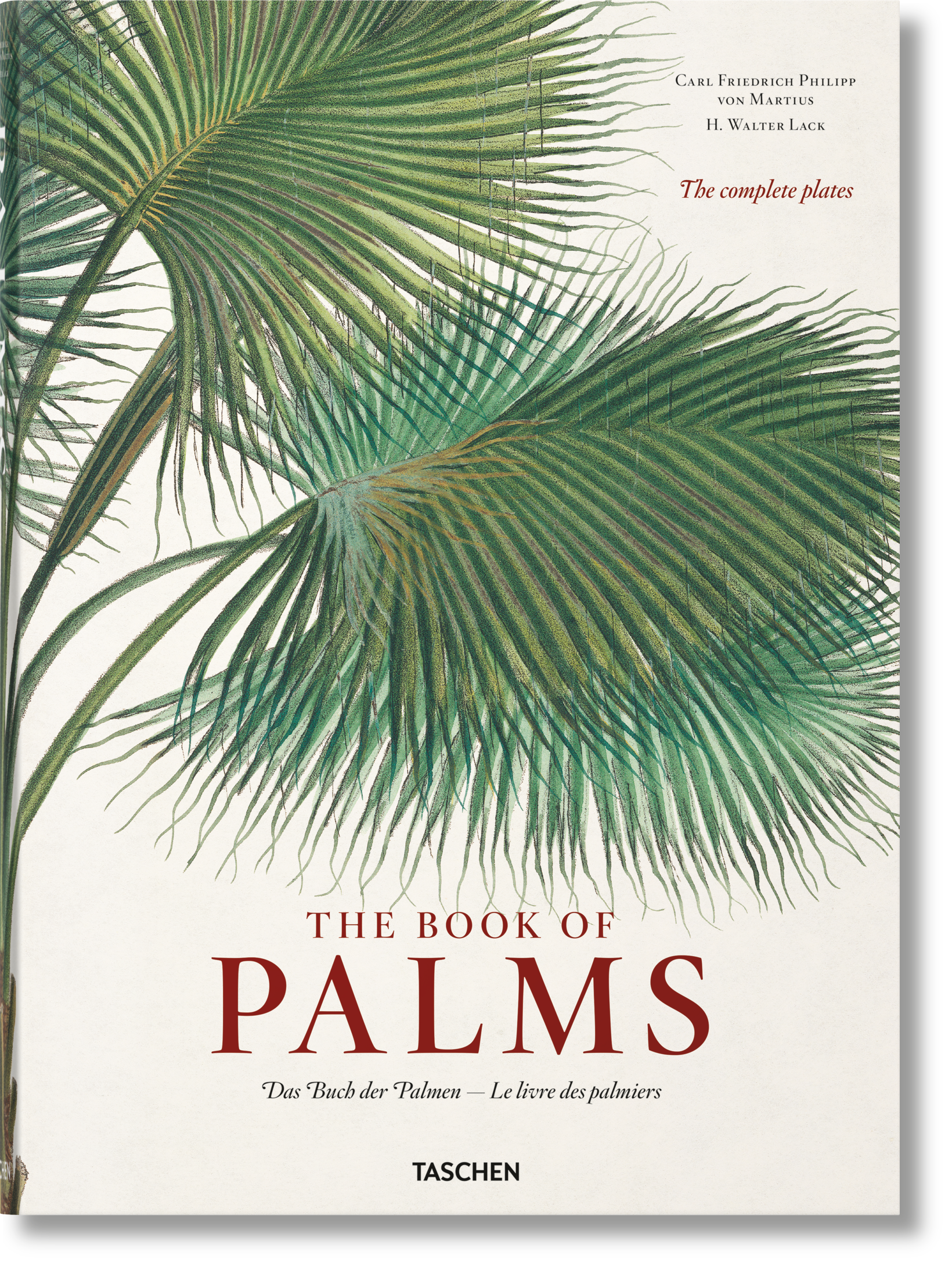 Taschen-Martius. The Book of Palms (German, French, English)-Classics-Black-Deal-Outlet-by-ARCHIVIST