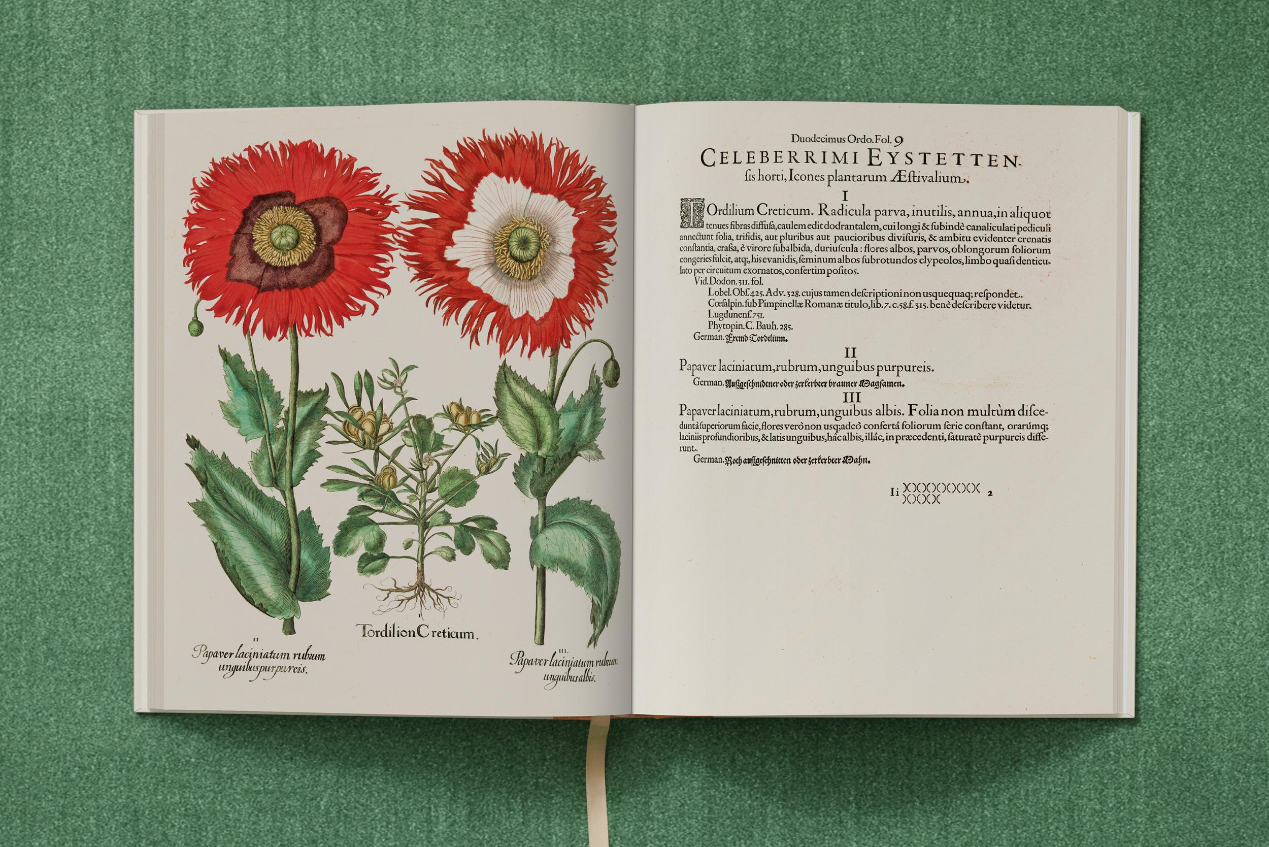 Taschen-Basilius Besler. The Garden at Eichstätt (German, French, English) (FFE)-Classics-Black-Deal-Outlet-by-ARCHIVIST
