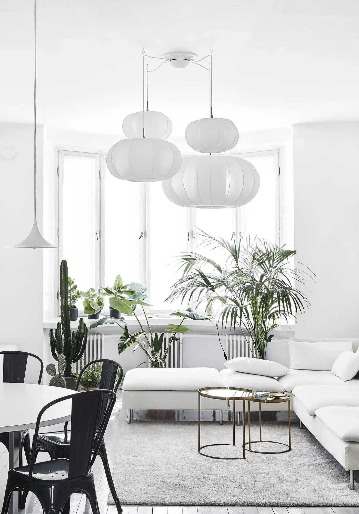 Verdancia-Green Home Book - Coffee Table Book - Grün Wohnen-Buch-Black-Deal-Outlet-by-ARCHIVIST