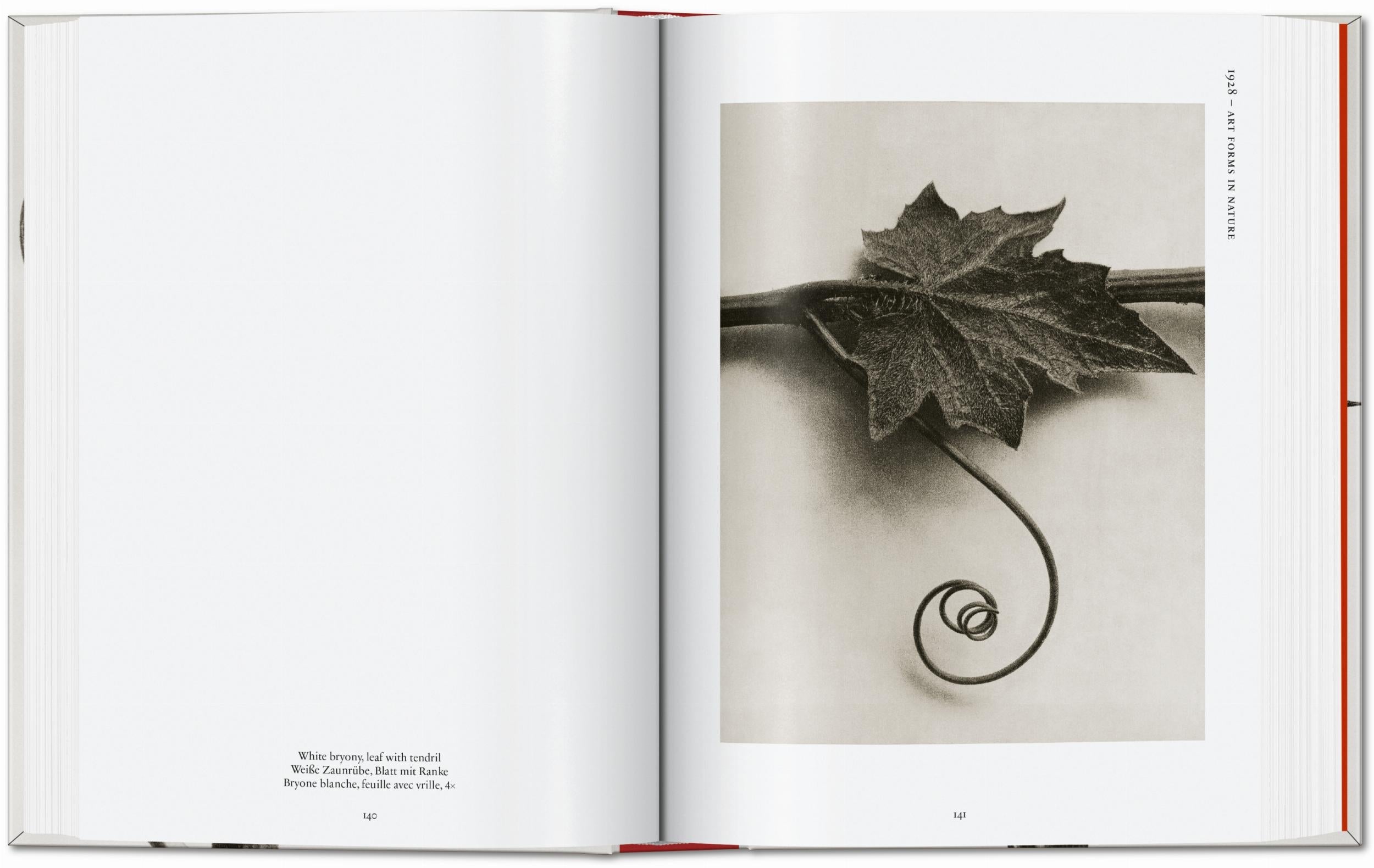 Taschen-Karl Blossfeldt. The Complete Published Work. 45th Ed. (German, French, English)-Photography-Black-Deal-Outlet-by-ARCHIVIST