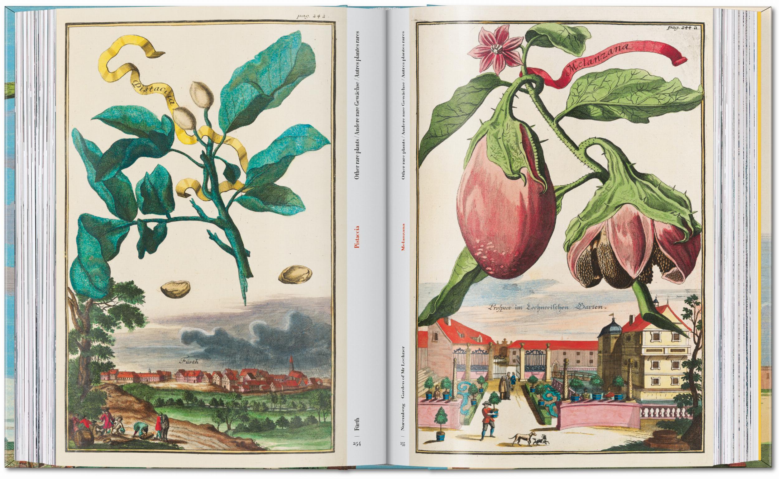 Taschen-J. C. Volkamer. The Book of Citrus Fruits. 45th Ed. (German, French, English)-Classics-Black-Deal-Outlet-by-ARCHIVIST