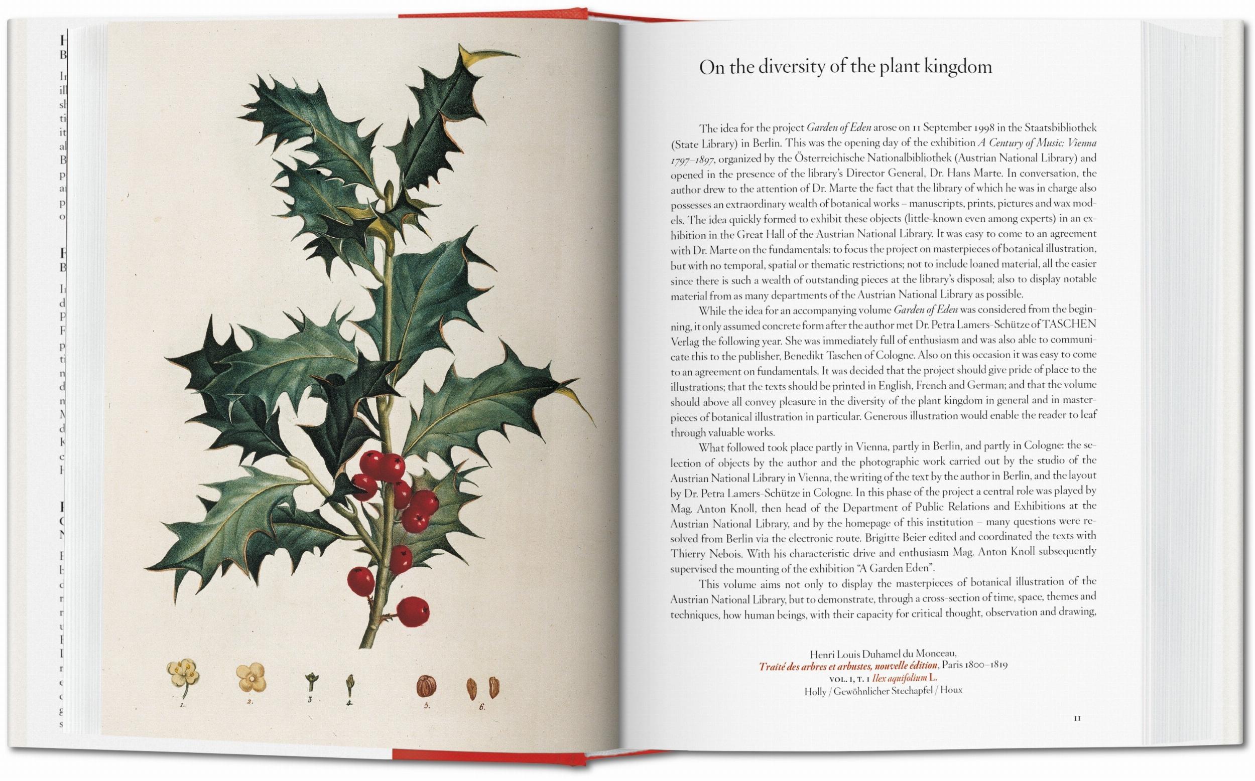 Taschen-A Garden Eden. Masterpieces of Botanical Illustration. 45th Ed. (German, French, English)-Classics-Black-Deal-Outlet-by-ARCHIVIST