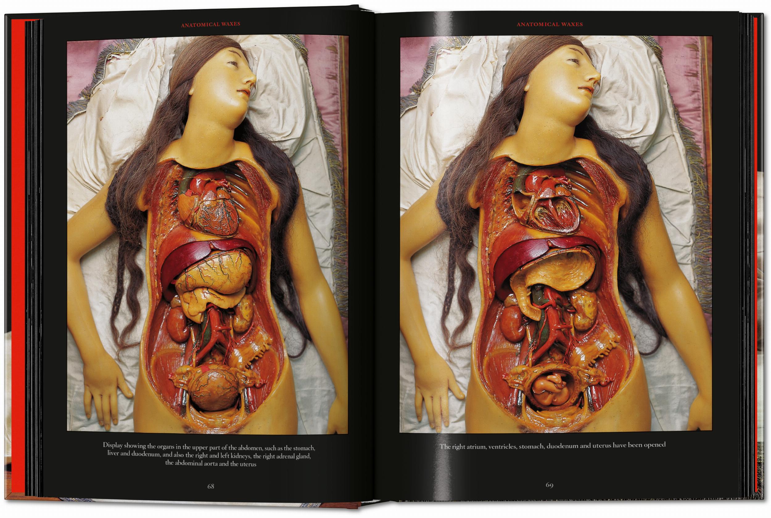 Taschen-Anatomical Waxes. 45th Ed. (German, French, English)-Classics-Black-Deal-Outlet-by-ARCHIVIST