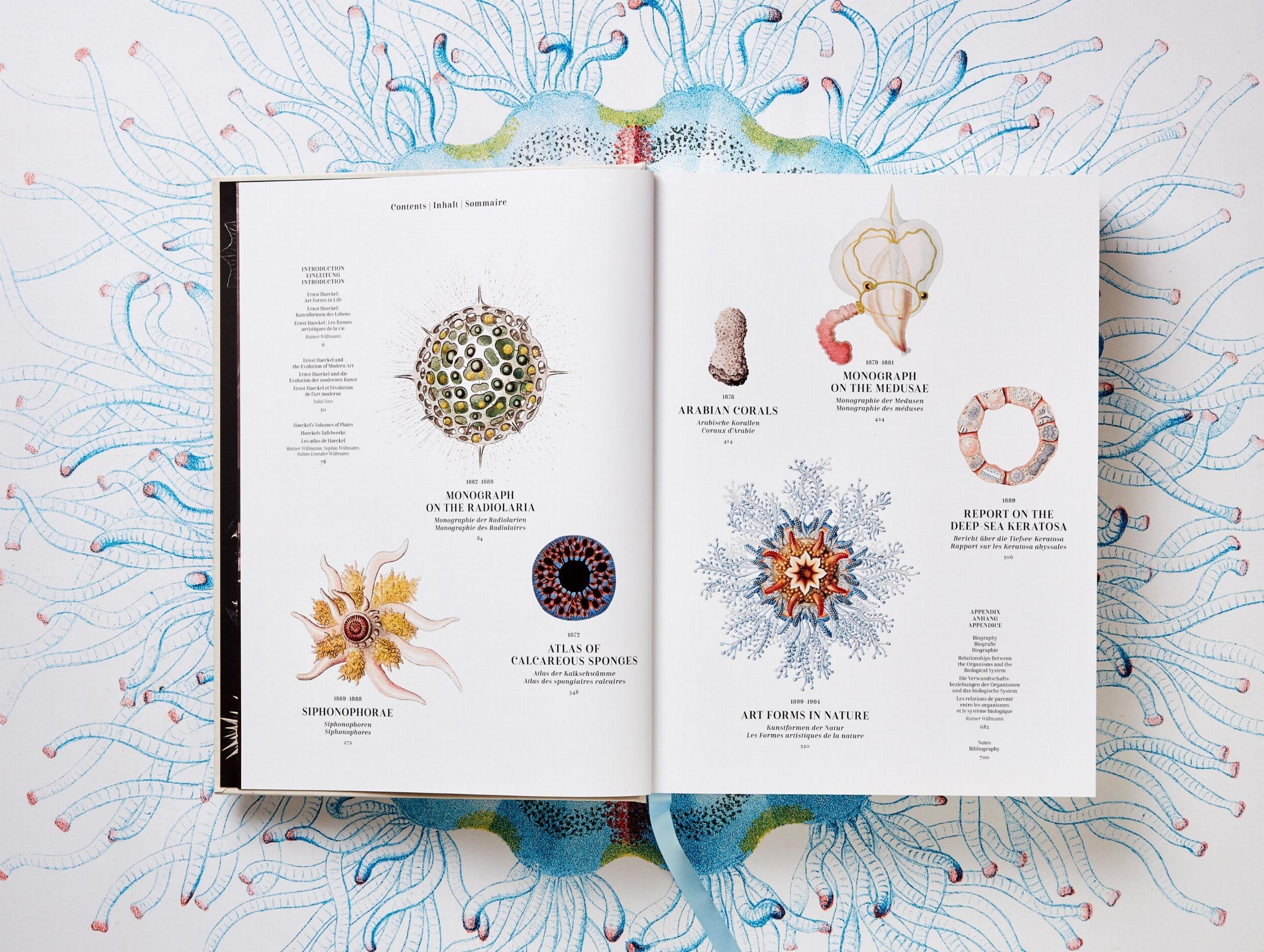Taschen-The Art and Science of Ernst Haeckel (German, French, English)-Classics-Black-Deal-Outlet-by-ARCHIVIST