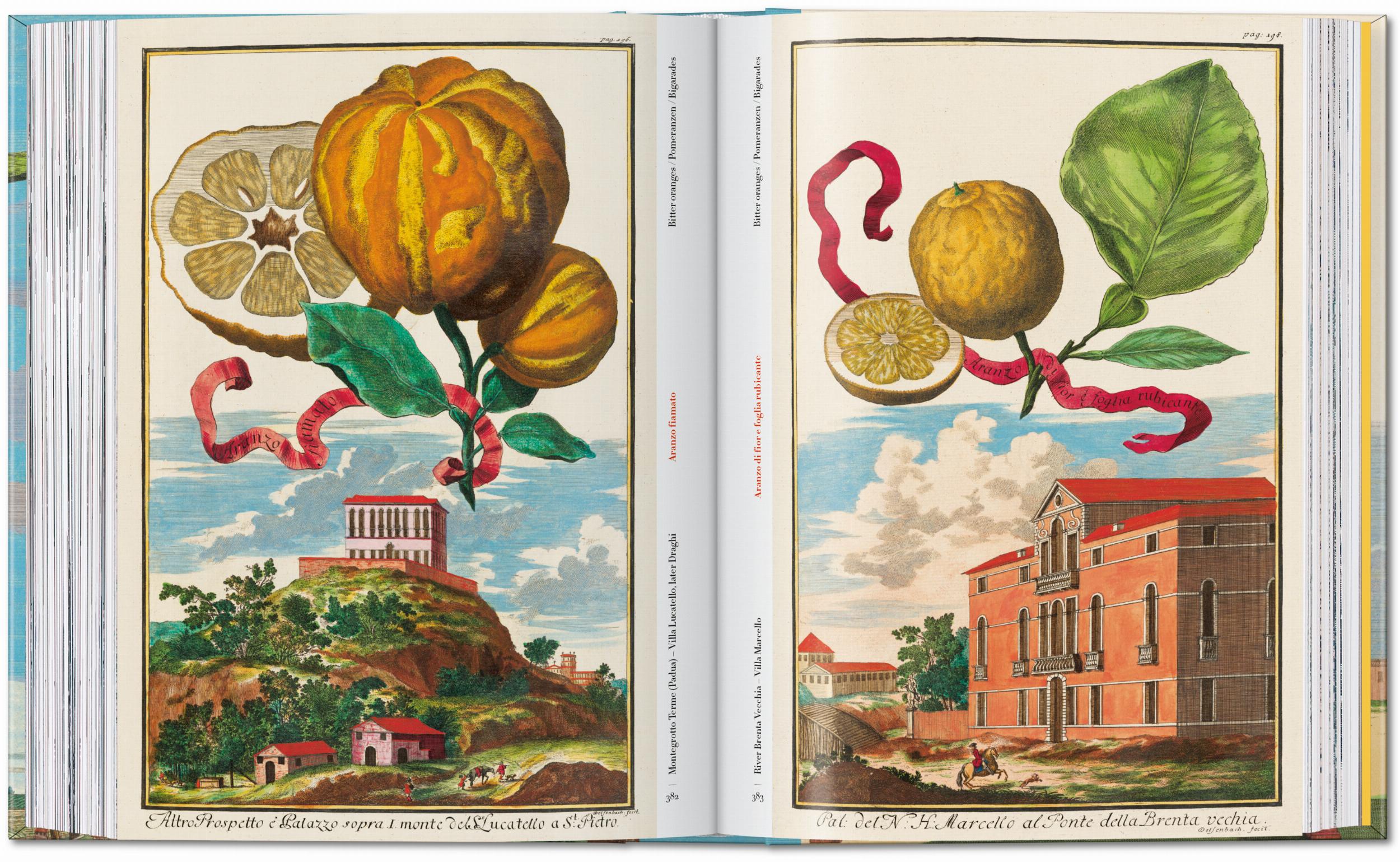 Taschen-J. C. Volkamer. The Book of Citrus Fruits. 45th Ed. (German, French, English)-Classics-Black-Deal-Outlet-by-ARCHIVIST