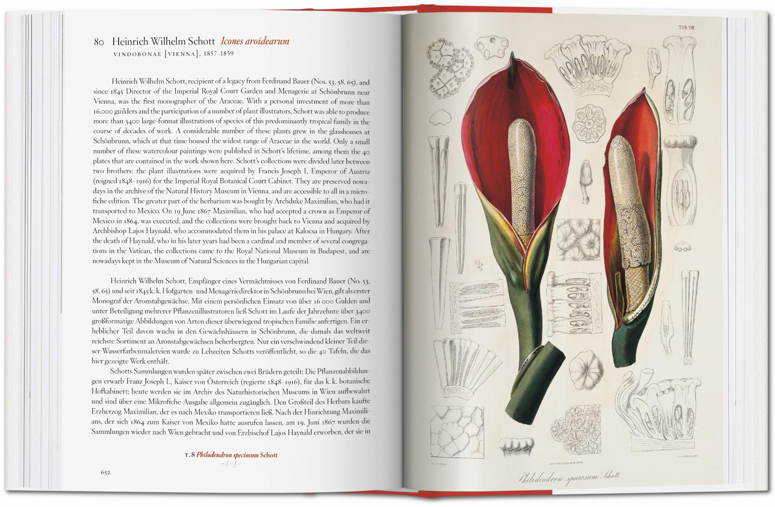 Taschen-A Garden Eden. Masterpieces of Botanical Illustration. 45th Ed. (Spanish, English, Italian)-Classics-Black-Deal-Outlet-by-ARCHIVIST