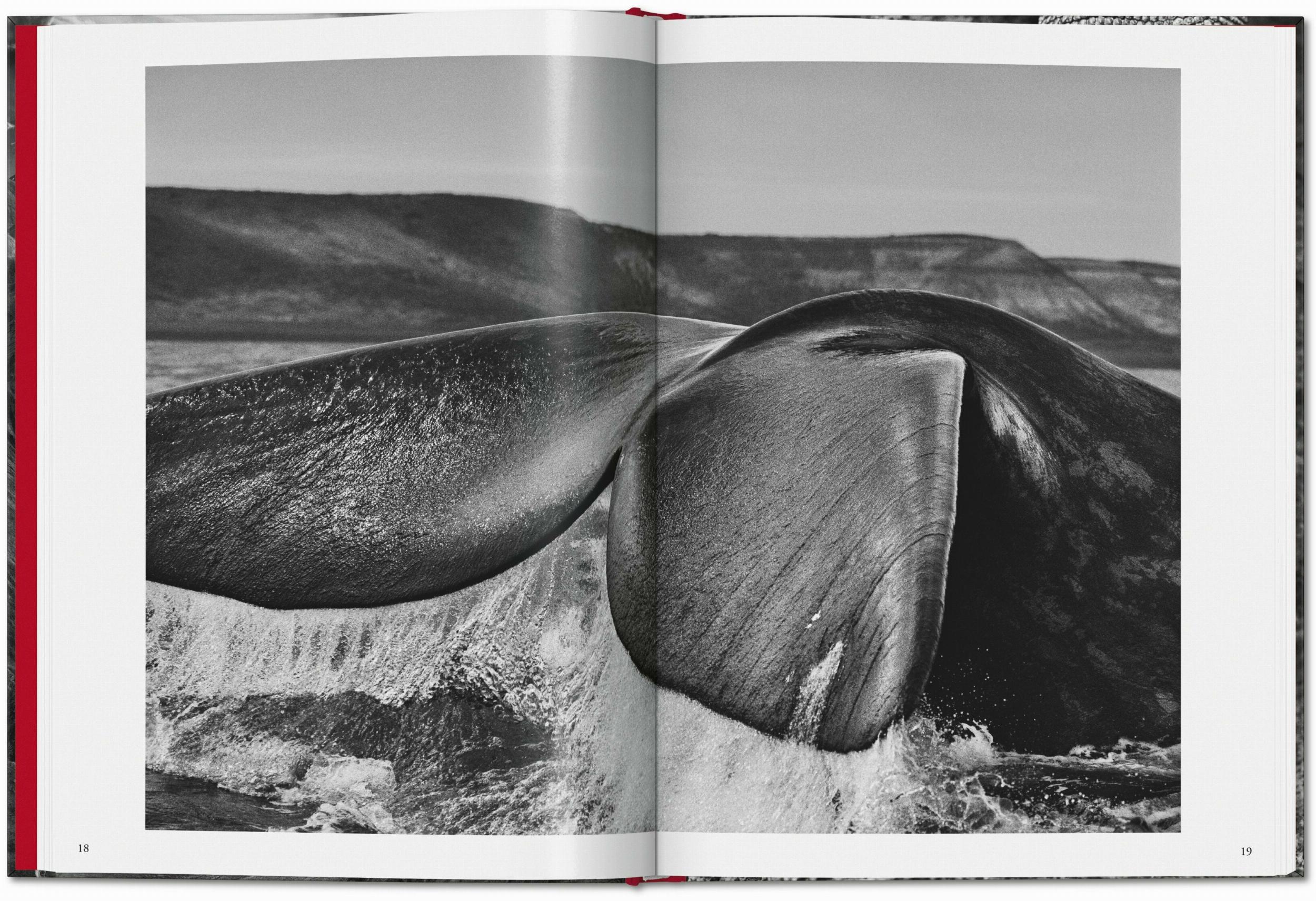 Taschen-Sebastião Salgado. Genesi (Italian)-Photography-Black-Deal-Outlet-by-ARCHIVIST