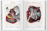 Taschen-Bourgery. Atlas of Human Anatomy and Surgery (German, French, English)-Classics-Black-Deal-Outlet-by-ARCHIVIST