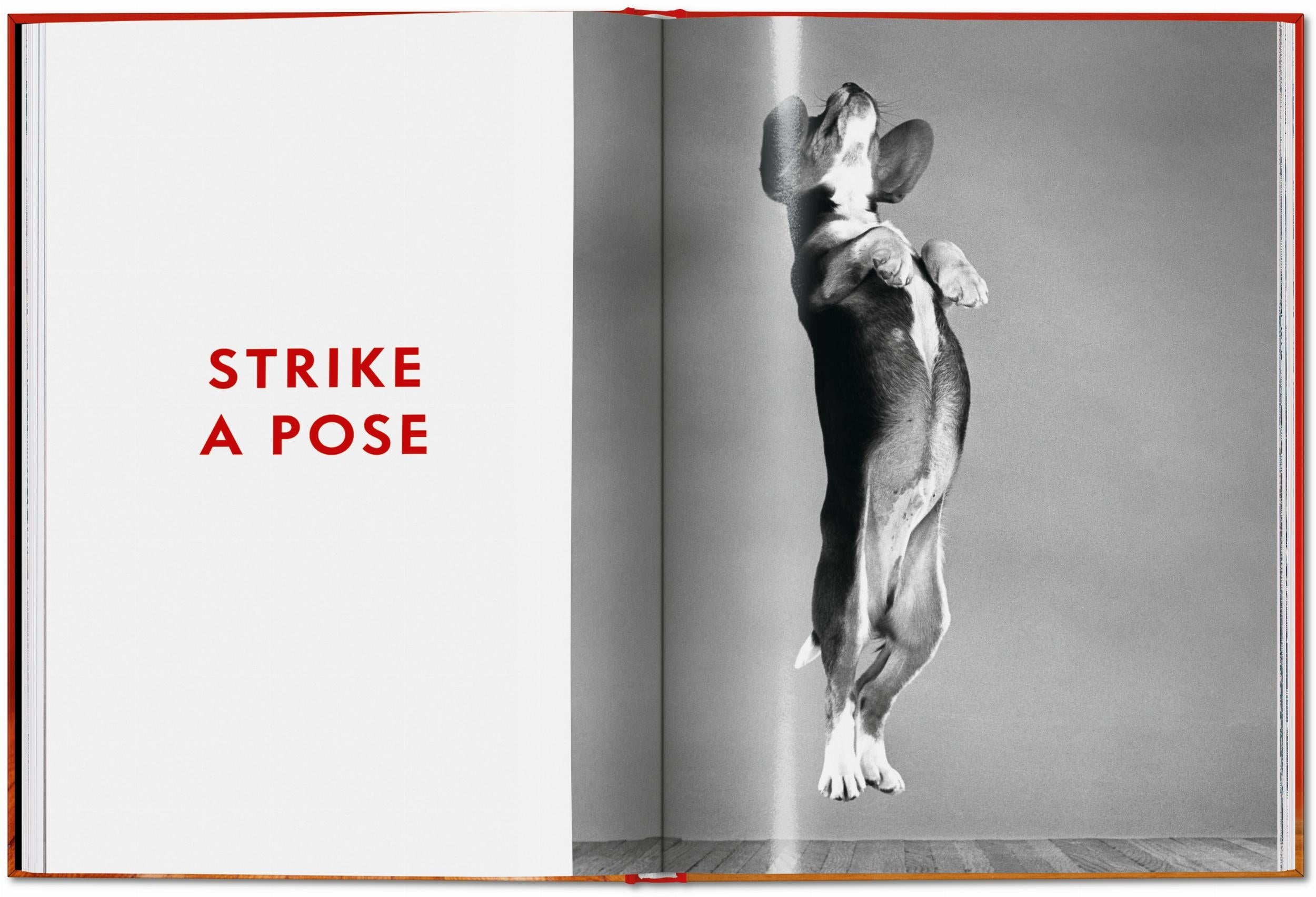 Taschen-Walter Chandoha. Dogs. Photographs 1941–1991 (English)-Photography-Black-Deal-Outlet-by-ARCHIVIST
