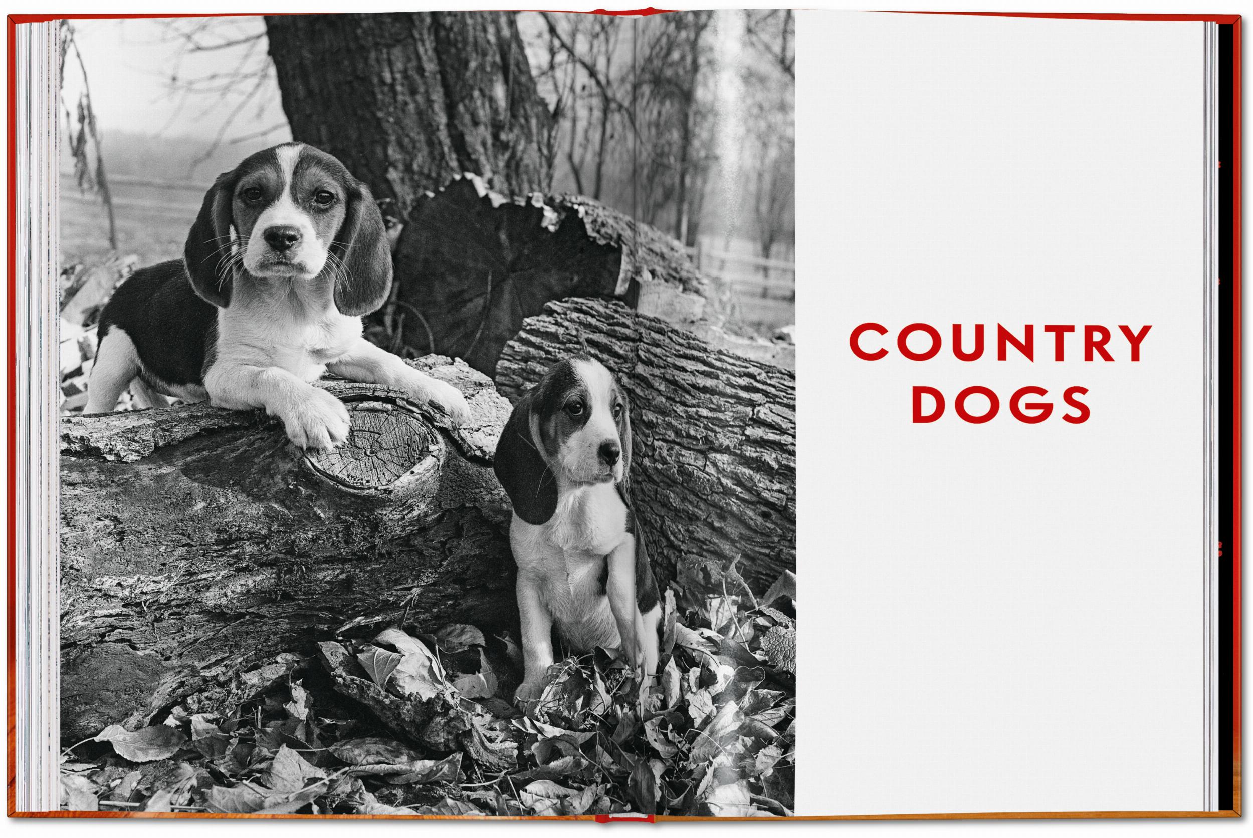 Taschen-Walter Chandoha. Dogs. Photographs 1941–1991 (English)-Photography-Black-Deal-Outlet-by-ARCHIVIST