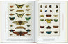 Taschen-Seba. Cabinet of Natural Curiosities. 45th Ed. (German, French, English)-Classics-Black-Deal-Outlet-by-ARCHIVIST