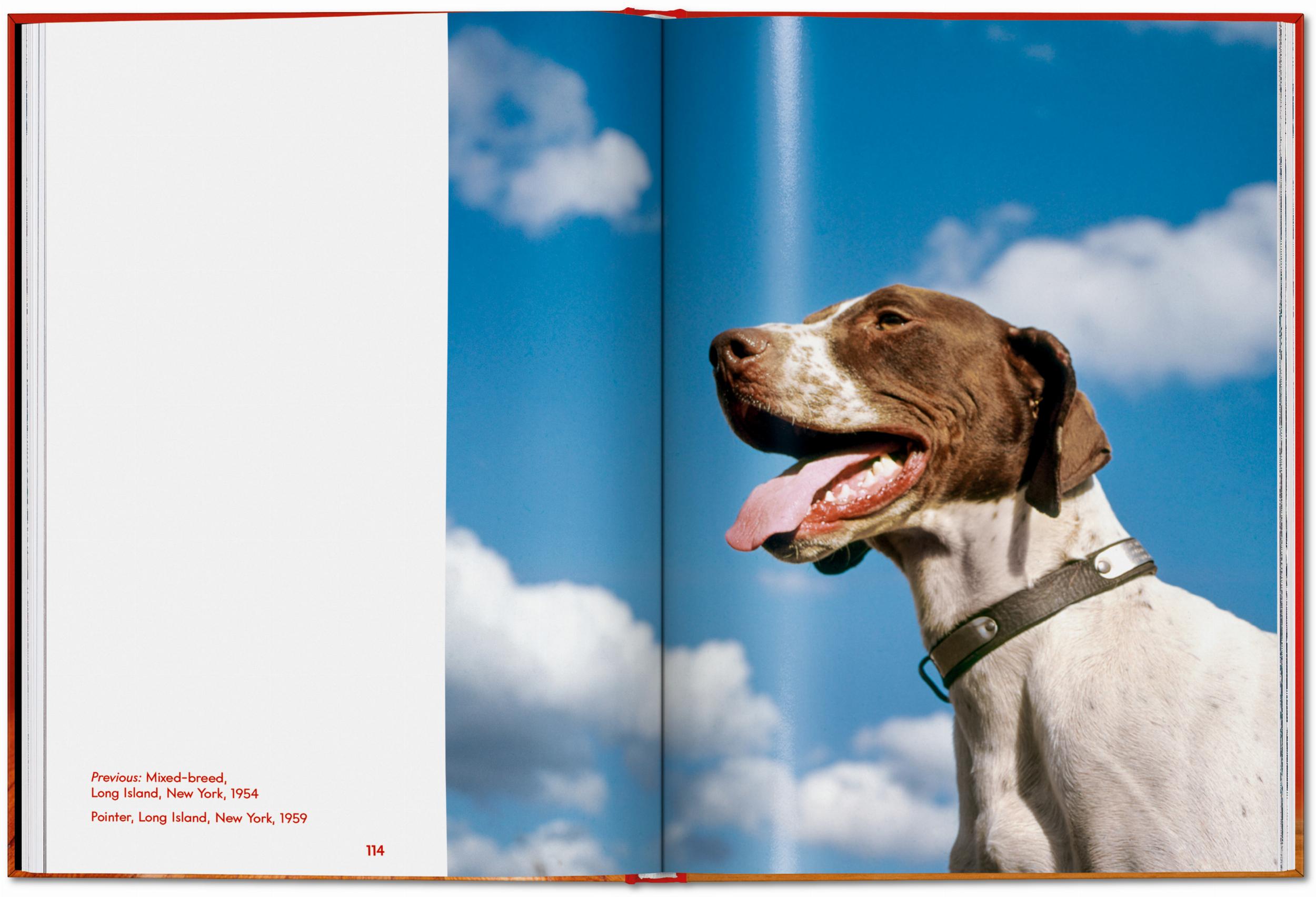 Taschen-Walter Chandoha. Dogs. Photographs 1941–1991 (English)-Photography-Black-Deal-Outlet-by-ARCHIVIST