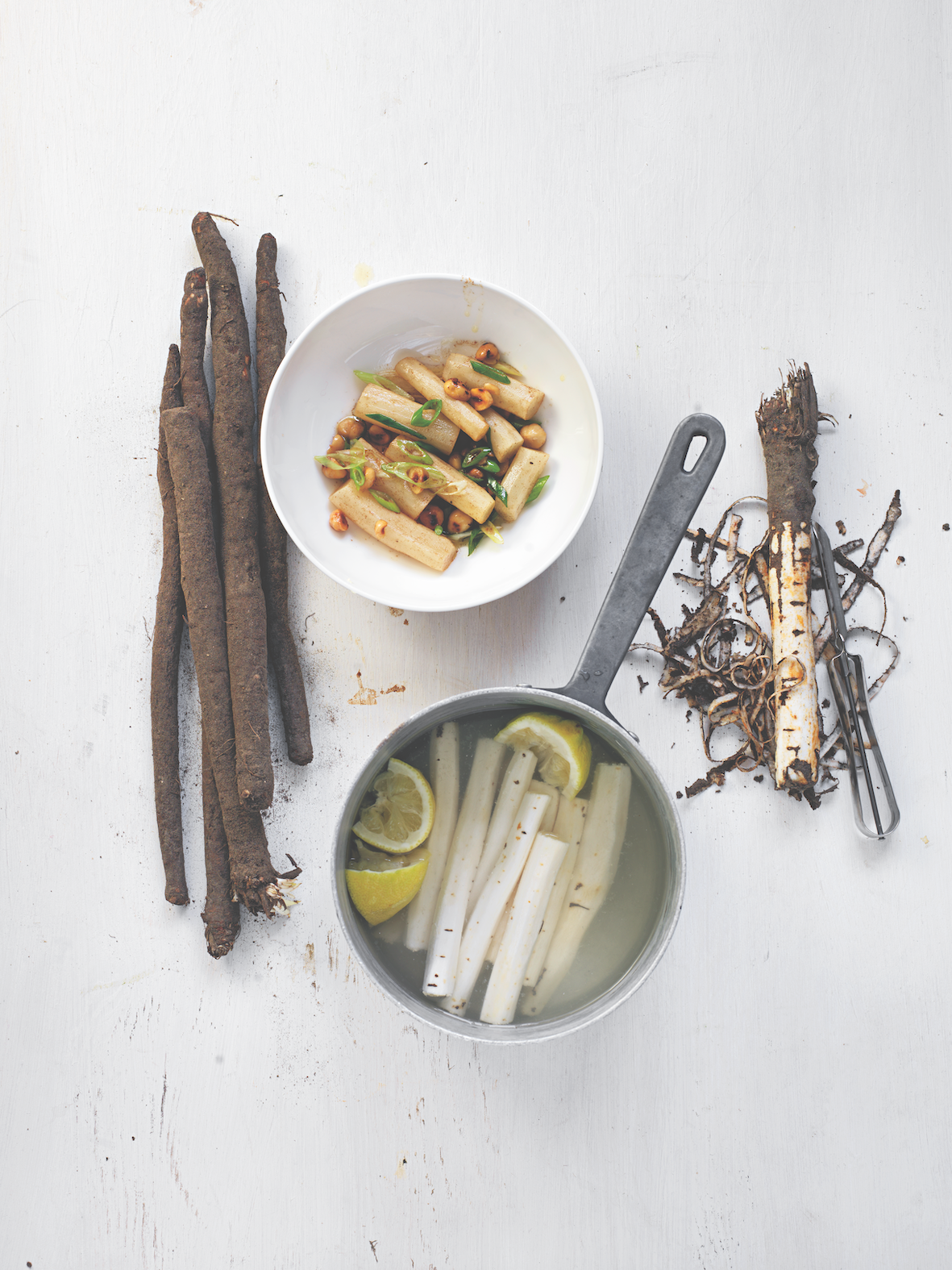 Gestalten Eu Shop-Junges Gemüse-Book-Black-Deal-Outlet-by-ARCHIVIST