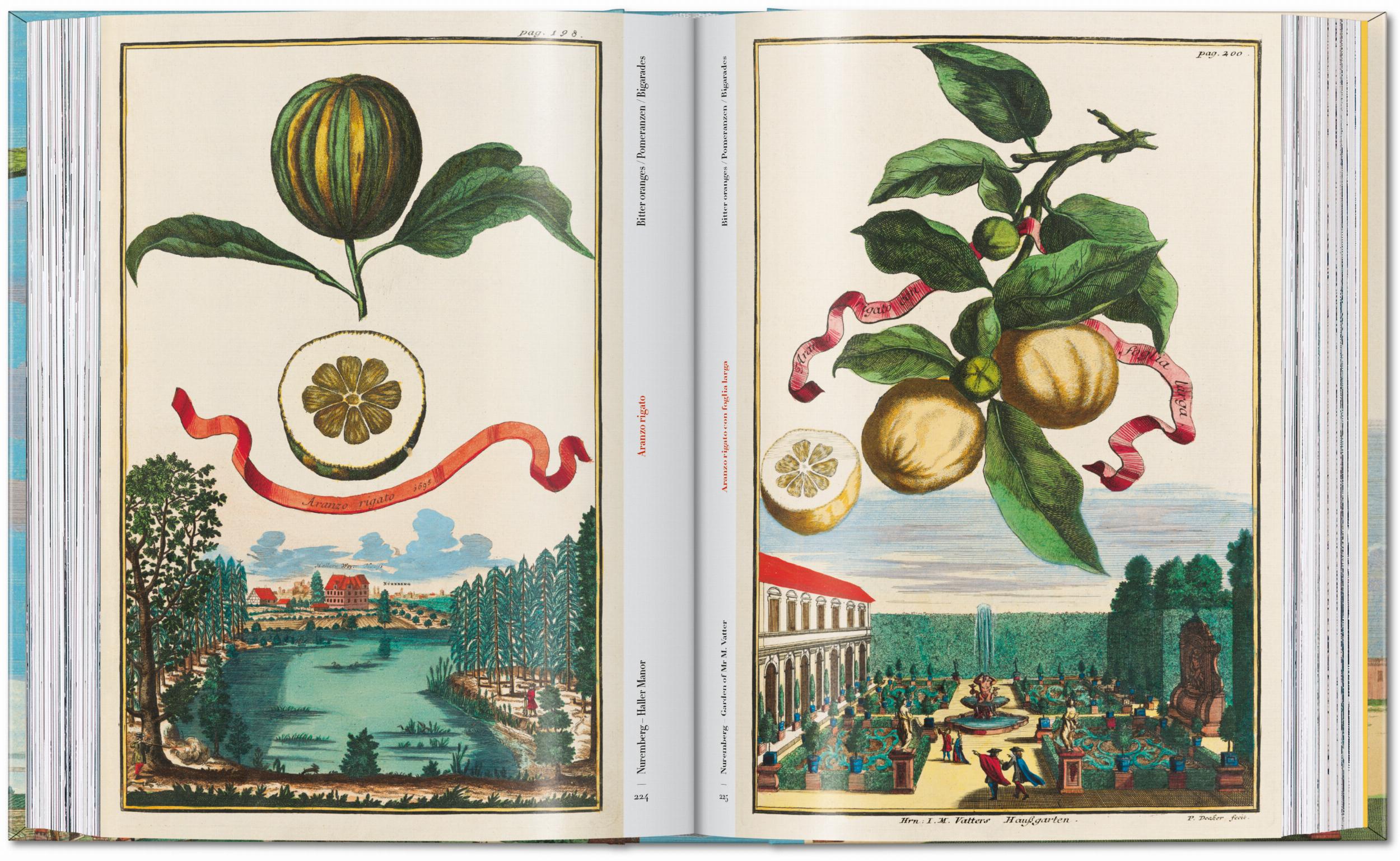 Taschen-J. C. Volkamer. The Book of Citrus Fruits. 45th Ed. (German, French, English)-Classics-Black-Deal-Outlet-by-ARCHIVIST