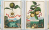 Taschen-J. C. Volkamer. The Book of Citrus Fruits. 45th Ed. (German, French, English)-Classics-Black-Deal-Outlet-by-ARCHIVIST
