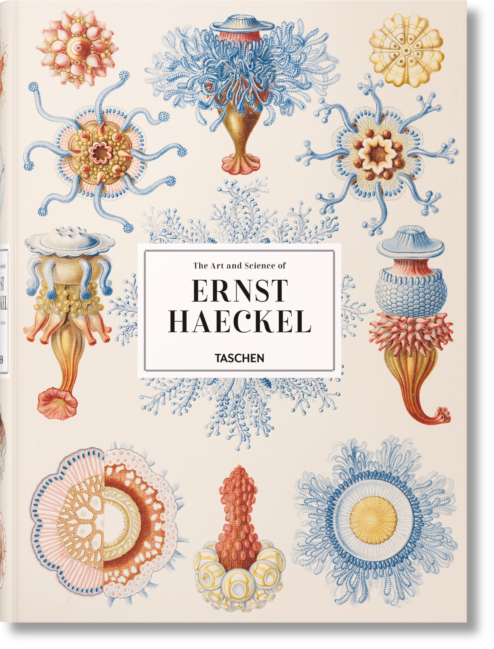 Taschen-The Art and Science of Ernst Haeckel (German, French, English)-Classics-Black-Deal-Outlet-by-ARCHIVIST